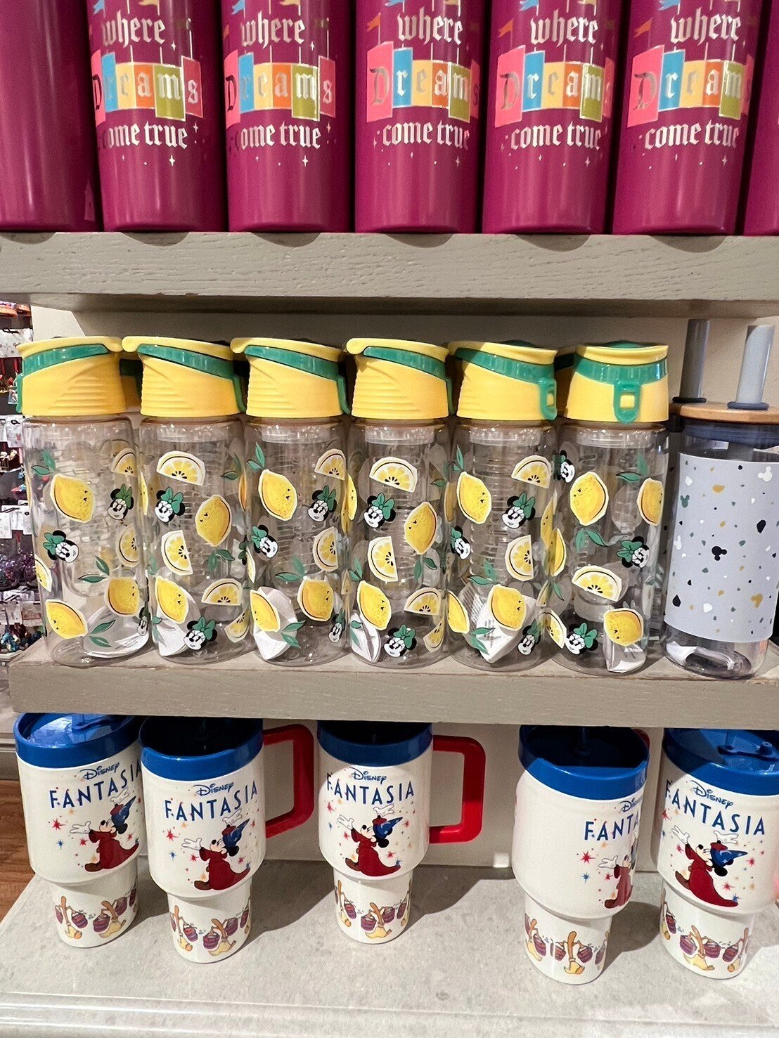 LA旅日記-2】アメリカ入国審査、ディズニーランドホテル、ダウンタウン