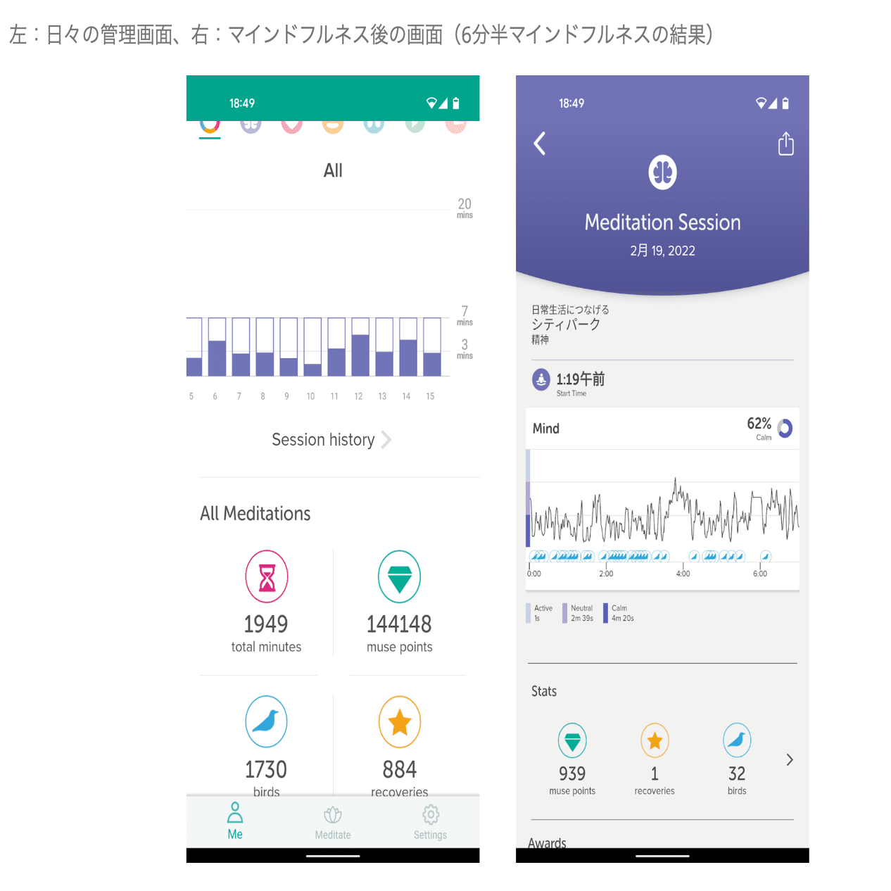Part1】どの脳波デバイスを買うべき？一年間使用した経験をもとに徹底