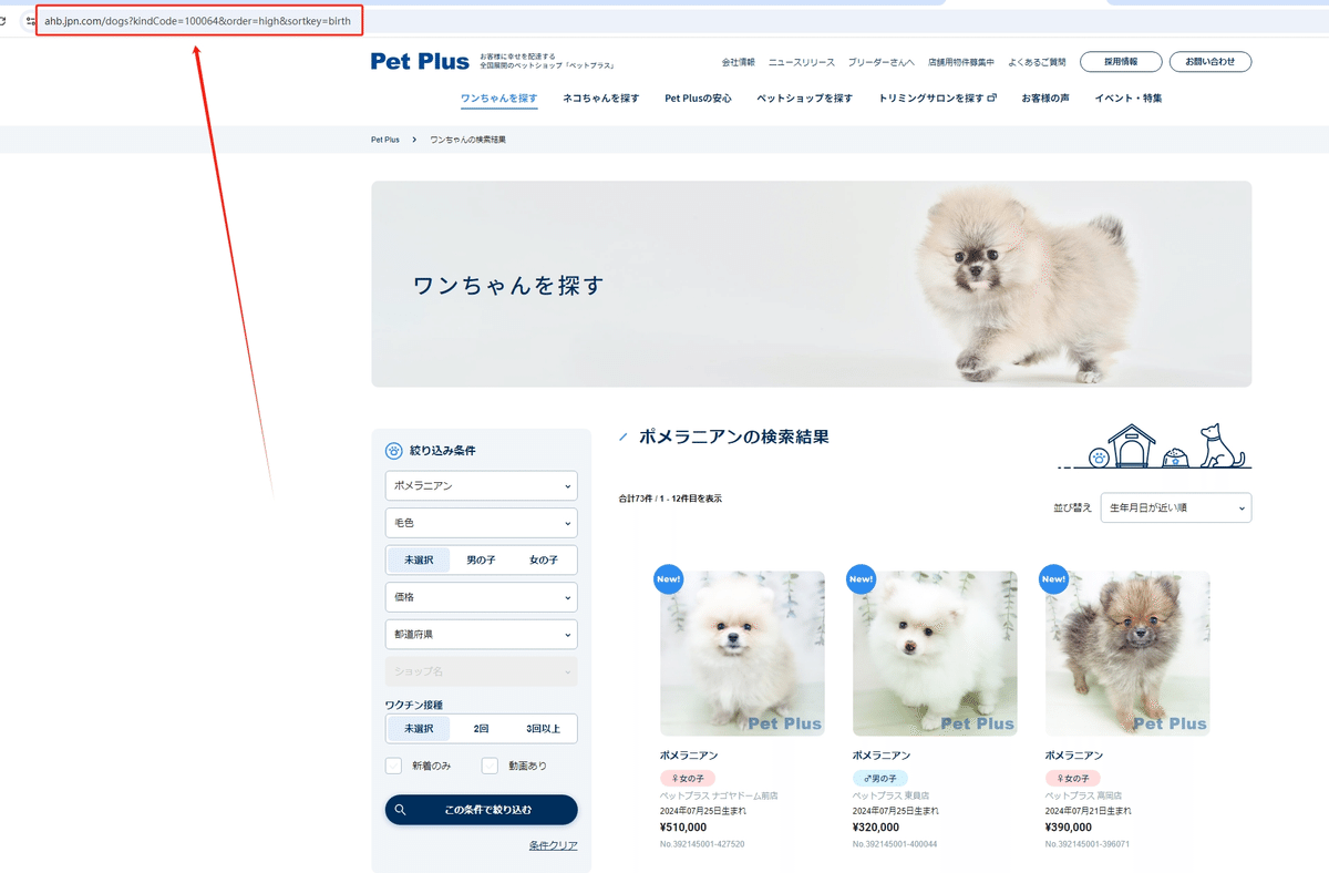 画像