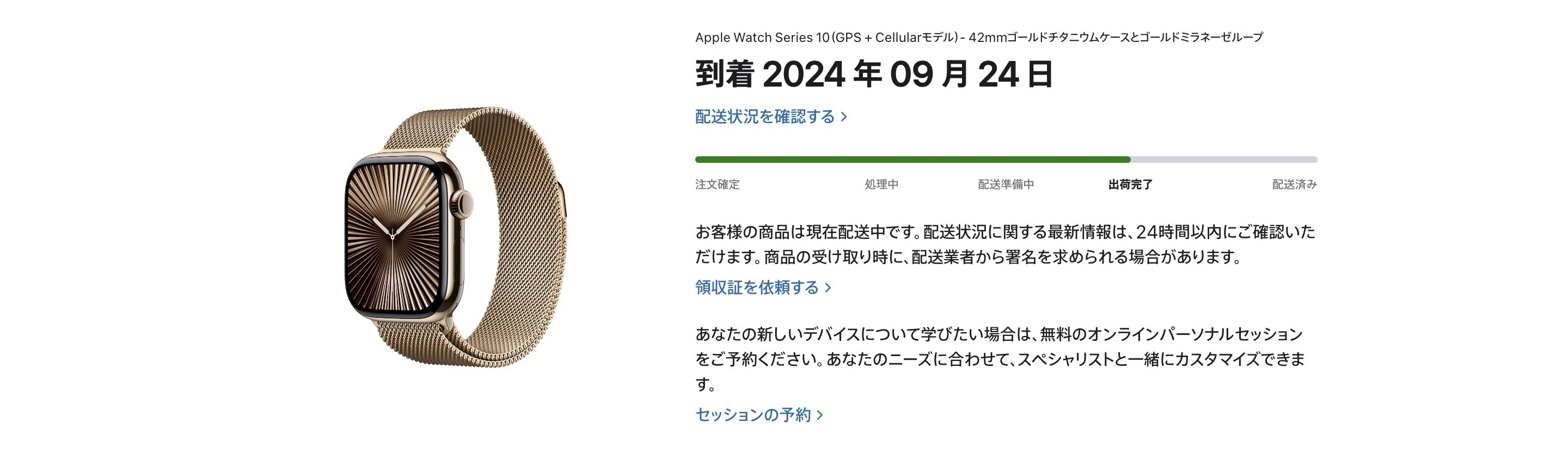 Apple Series Watch 0 42mm Series10 チタニウムゴールド ゴールド 