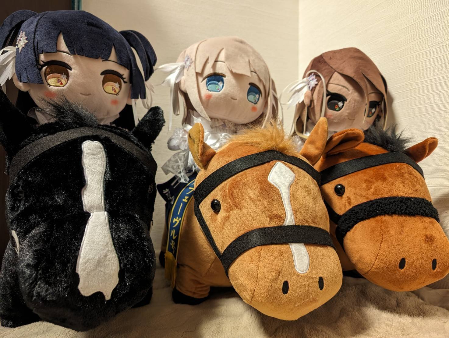 もちほわハーフアニバーサリー｜フィリア