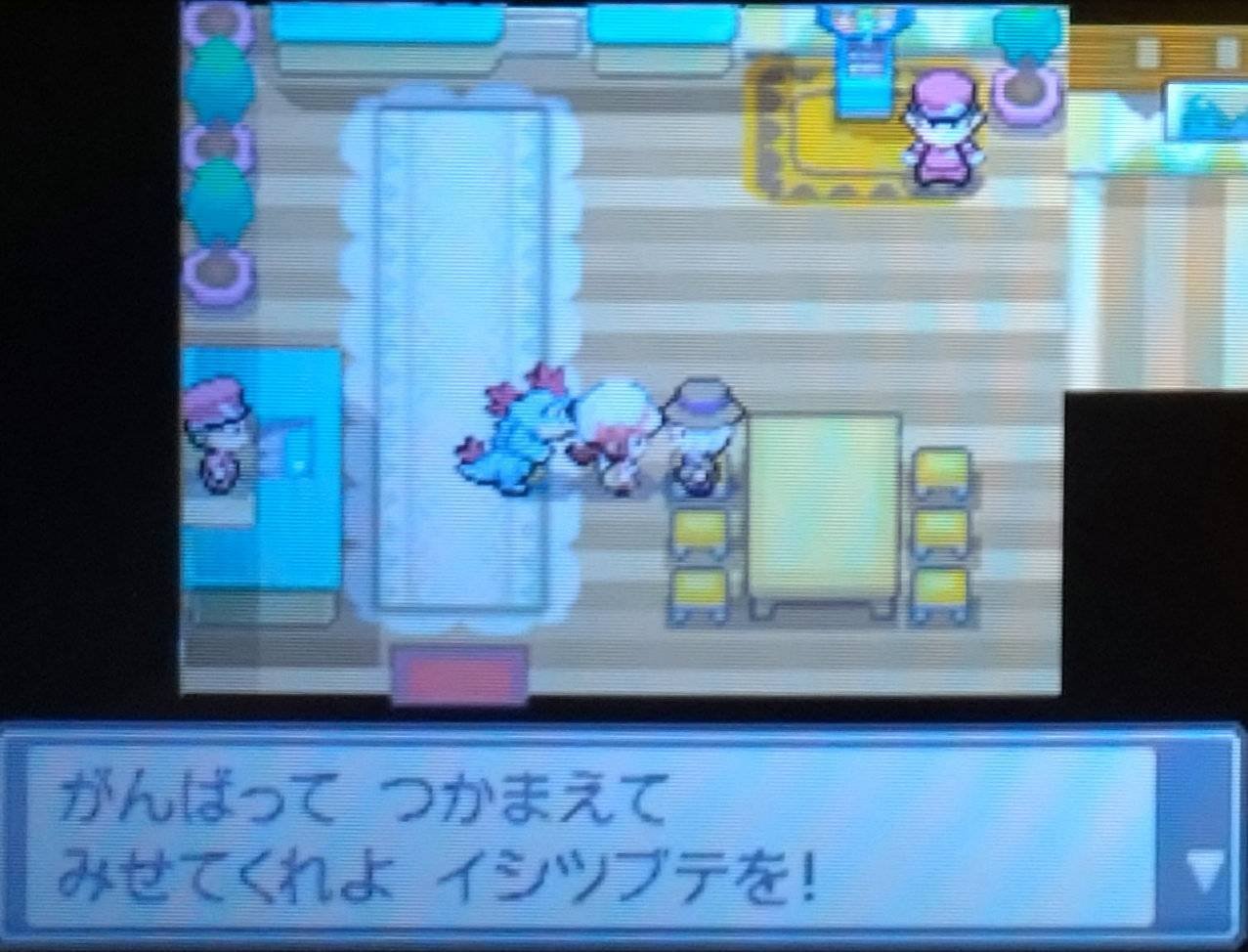 HGSS#8】共に旅したメンツを引退させる時が来た（秋のポケモン捕獲祭