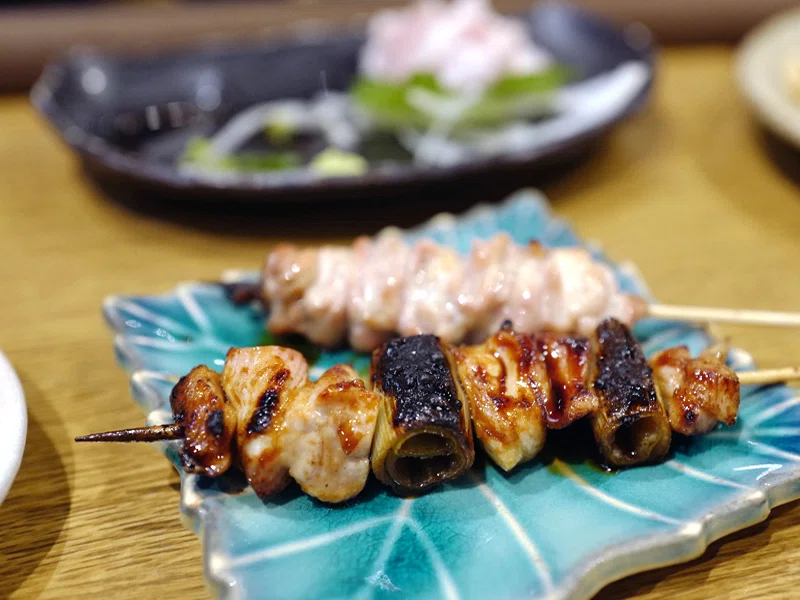 A Night of Yakitori in Gifu｜サカキシンイチロウ