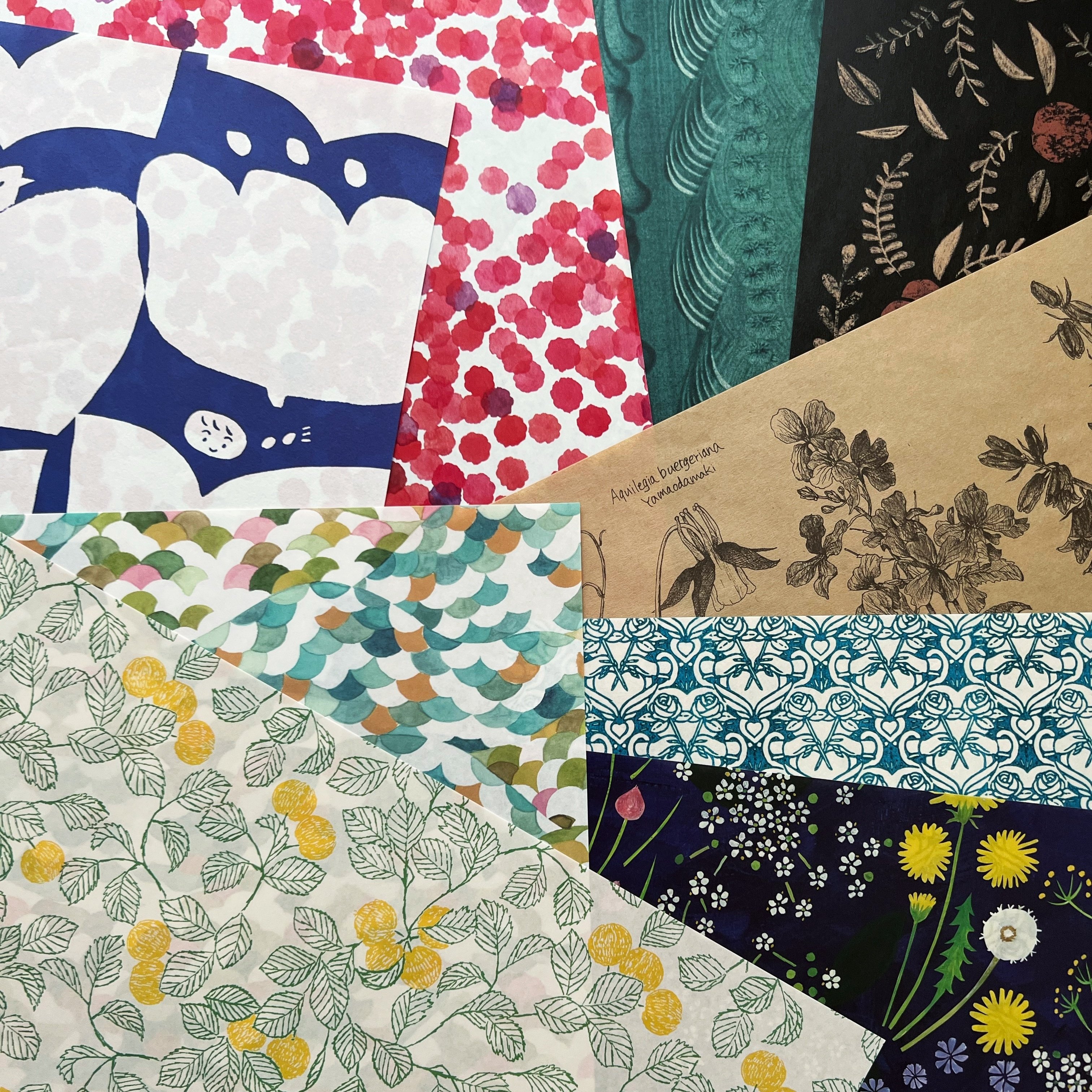 CＴＰ ワークブックセット ２４冊 CTP絵本 Learn to Read 24冊セット ＜レベル2-1＞ | 英語教材のctm