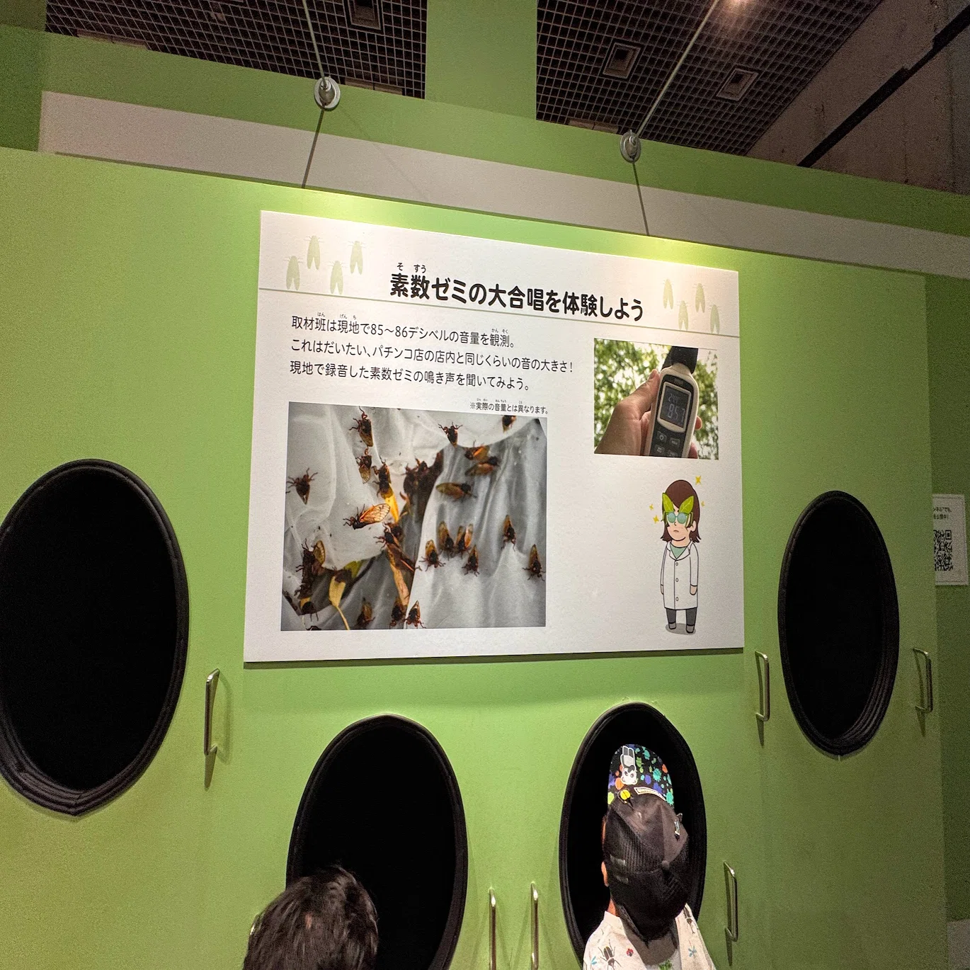 子連れにおすすめ！マニアックな昆虫博物館が深すぎた＠上野駅【国立