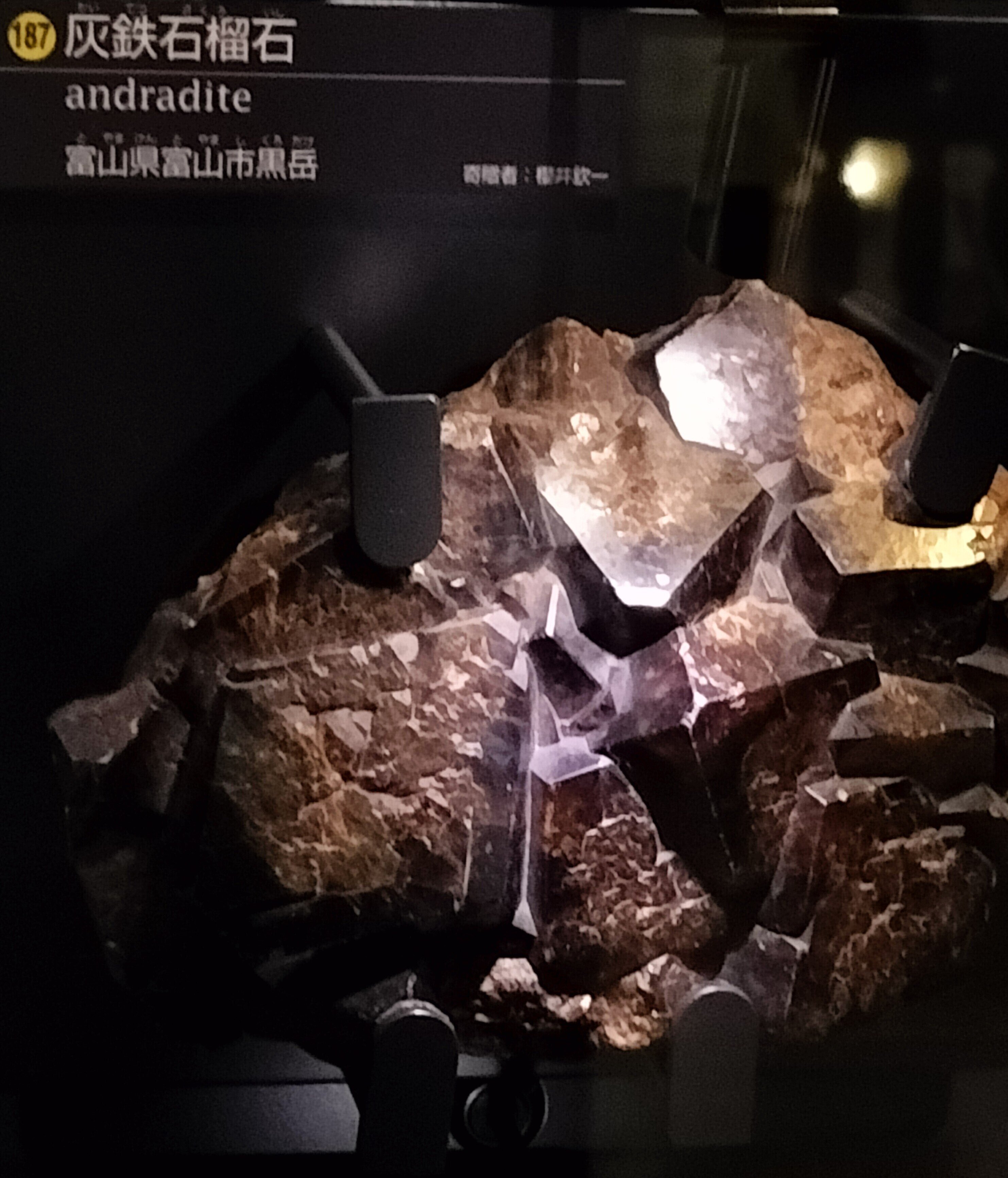 28 素の宝石たちに会いに｜stone earth