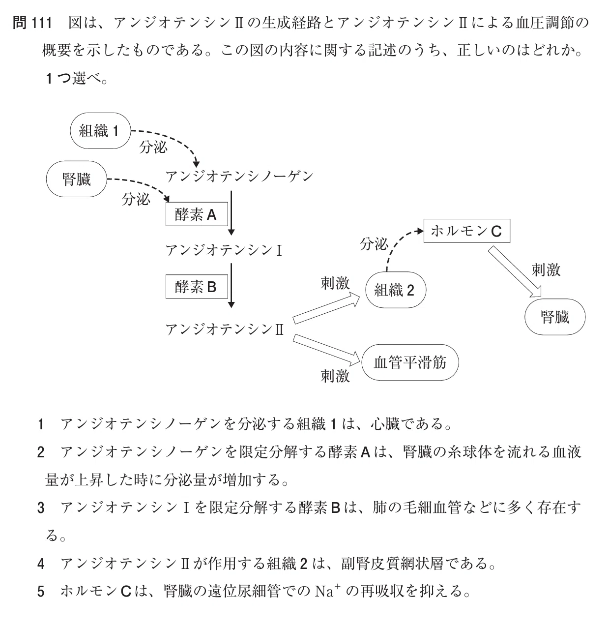 松廼屋｜論点解説 薬剤師国家試験対策ノート問107-111【生物】論点