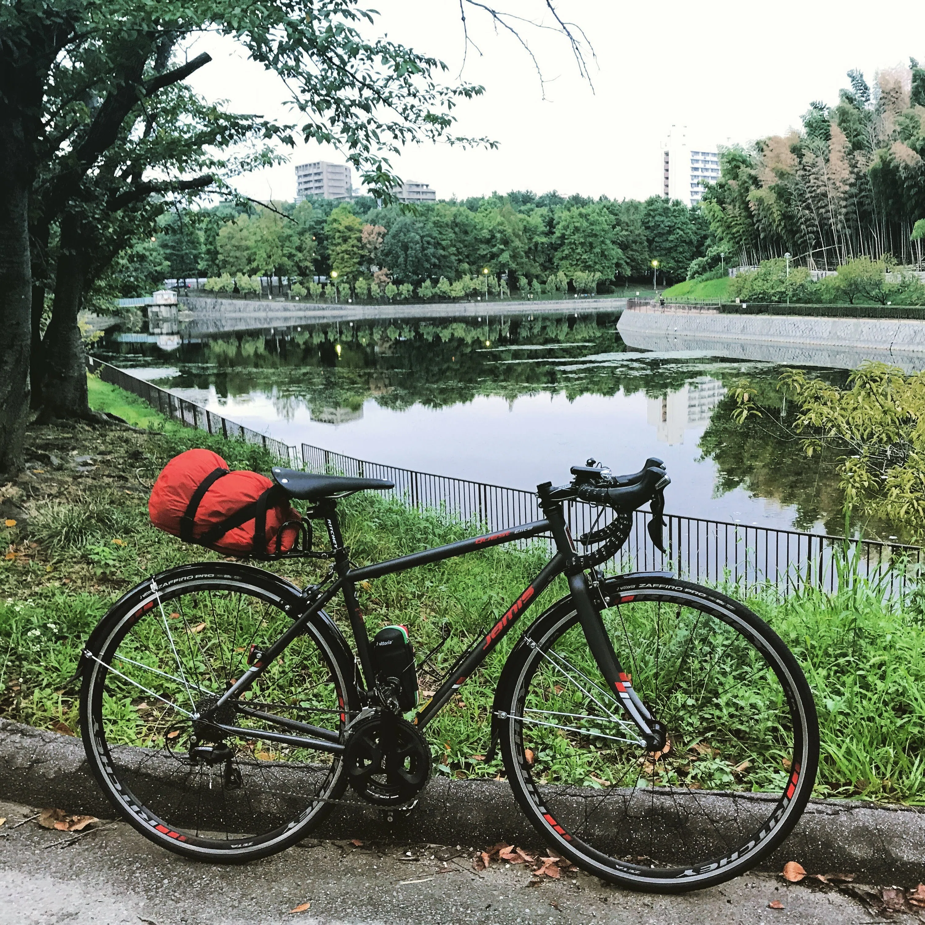 JAMIS QUEST 700C クロモリ 2X8S 485mmロードバイク