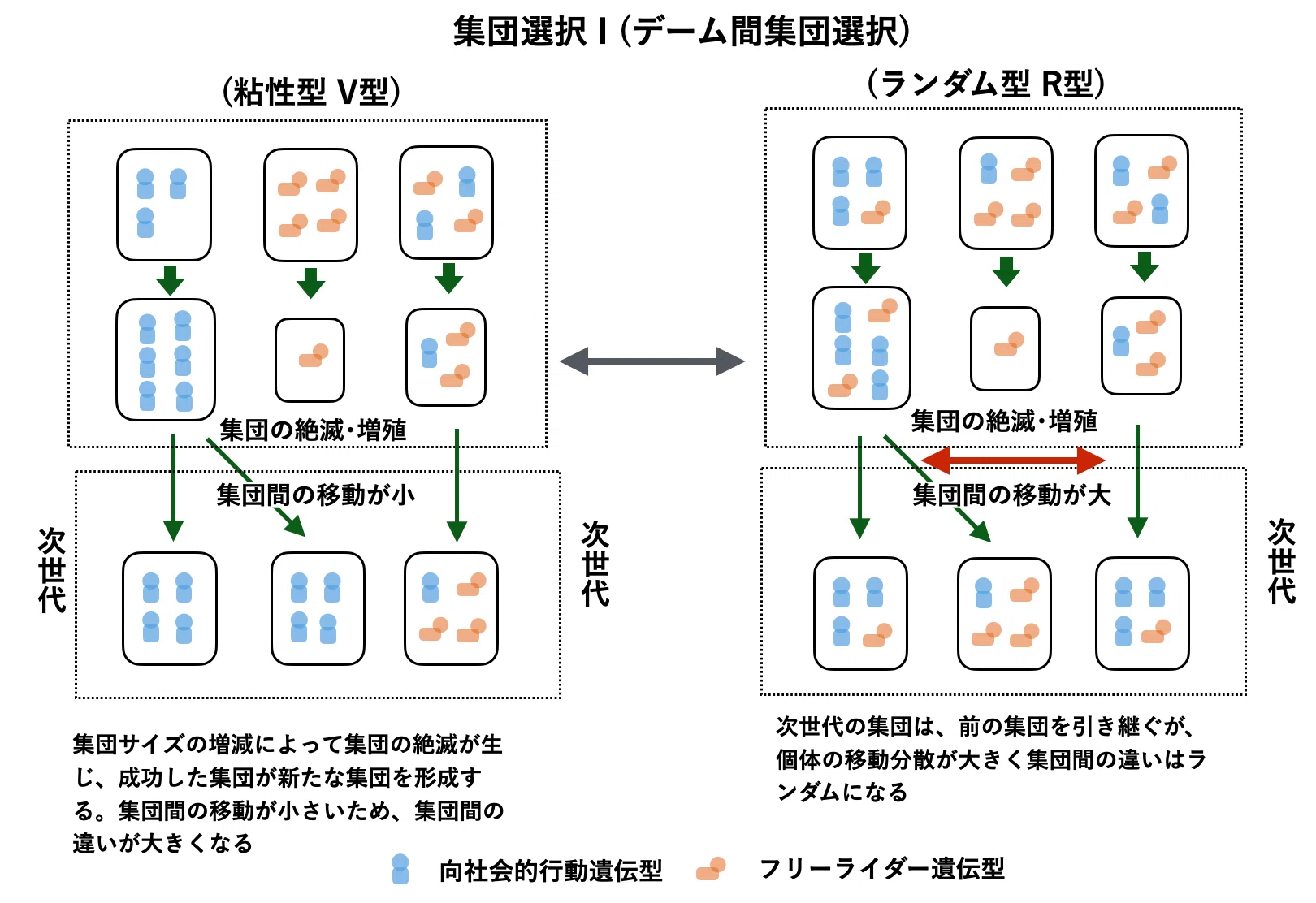 ヒトの向社会的行動の進化:なぜ人は利他的に振る舞うのか｜河田 雅圭