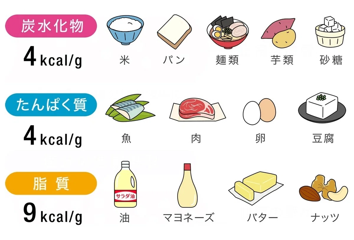 カロリーコントロールのコツは、アブラにあり！｜健康サポートプログラム