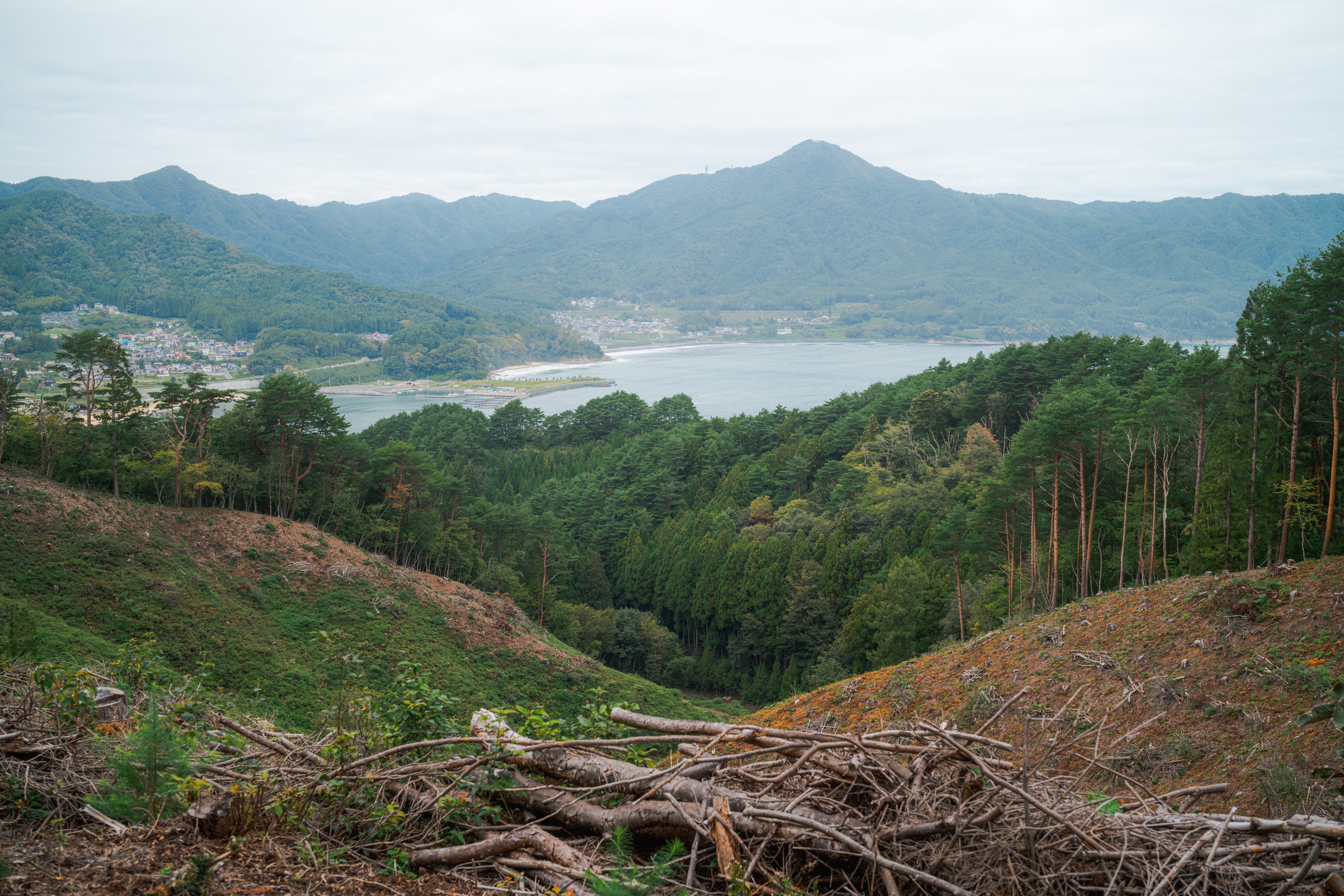 岩手県｜大槌と大船渡｜Mitsuhiro