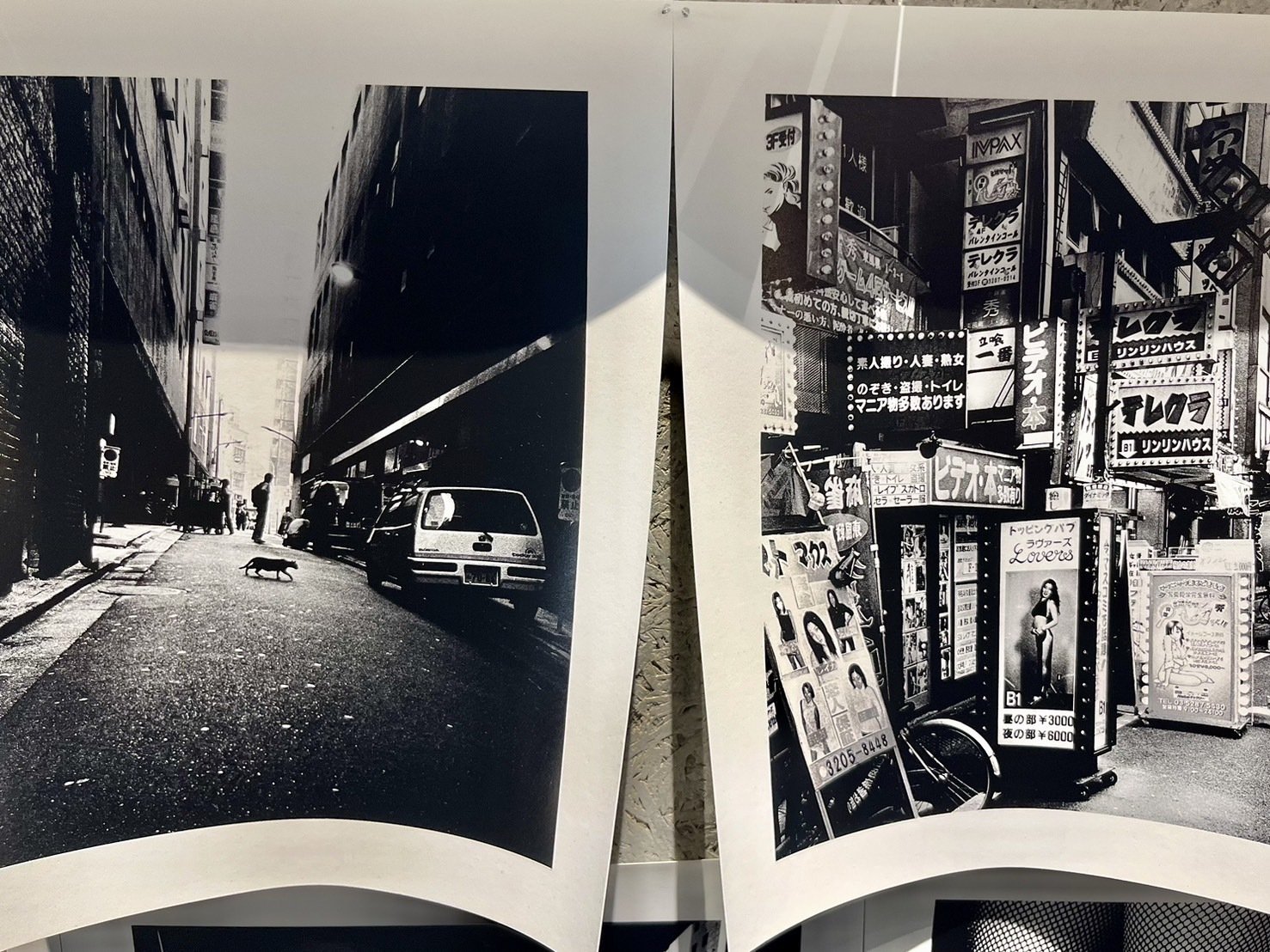 ❗️新品未開封❗️ファン・ホー Fan Ho 香港三部作　何藩　写真集　森山大道 森山大道展 後期｜松永 亨