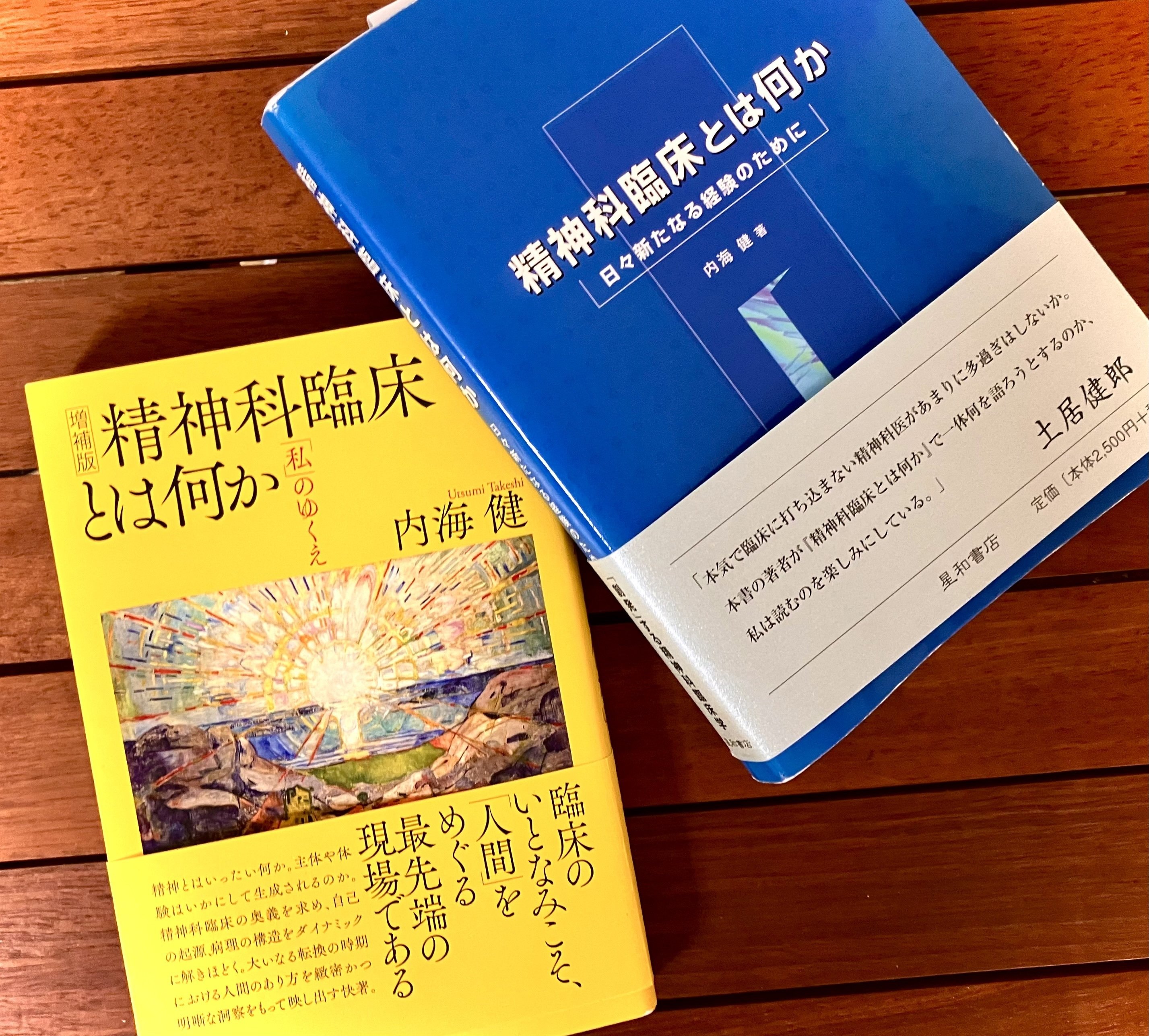 内海健『精神科臨床とは何か』の復刊｜woeswar