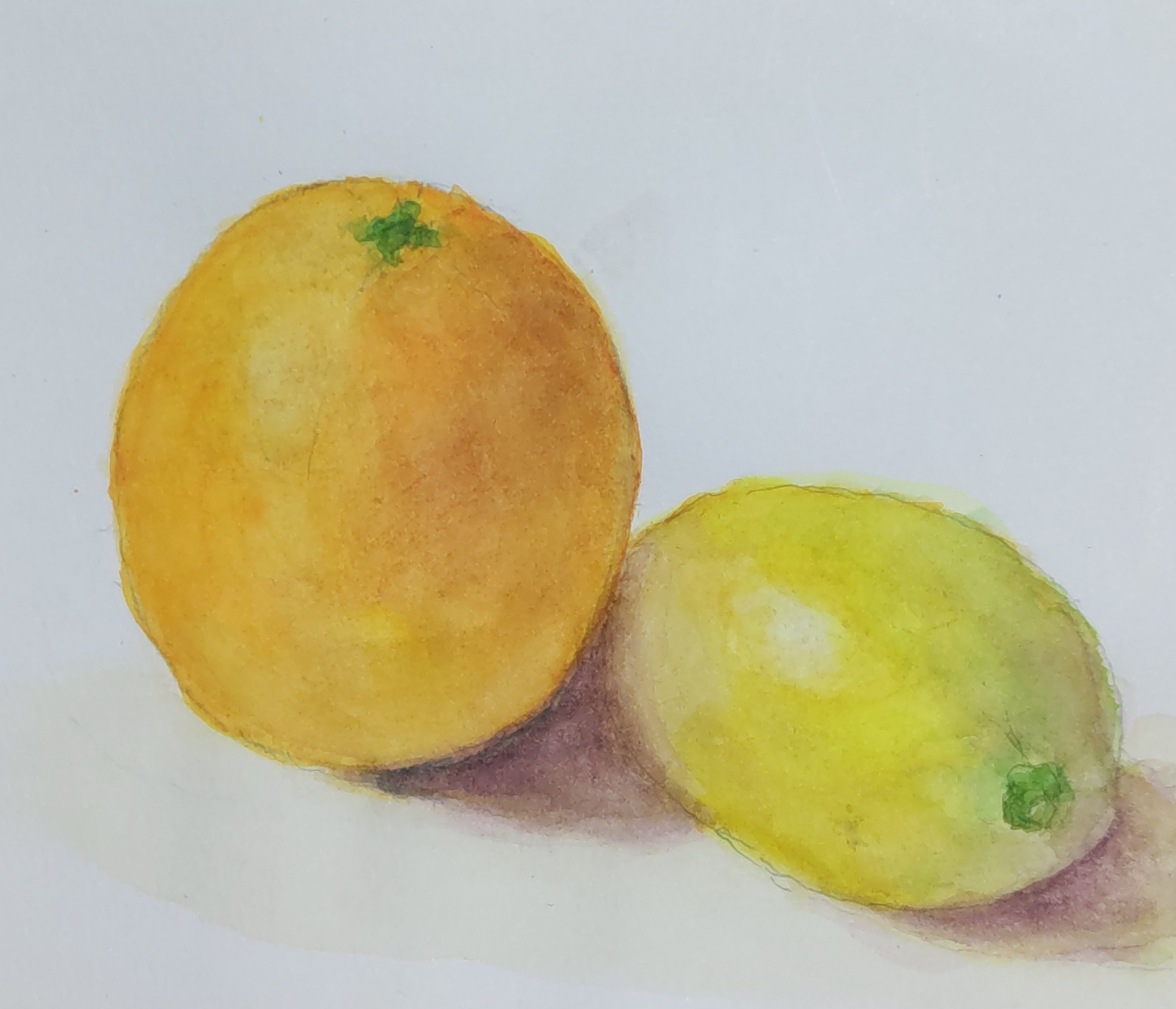 水彩画(静物‹果物›)№20 水彩画(静物‹果物›)№20 美術品・アンティーク・コレクション