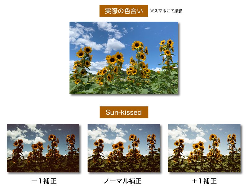 作例集 確認用 Lomography Color '92 Sun-kissedフィルムのレビュー｜山本穂高