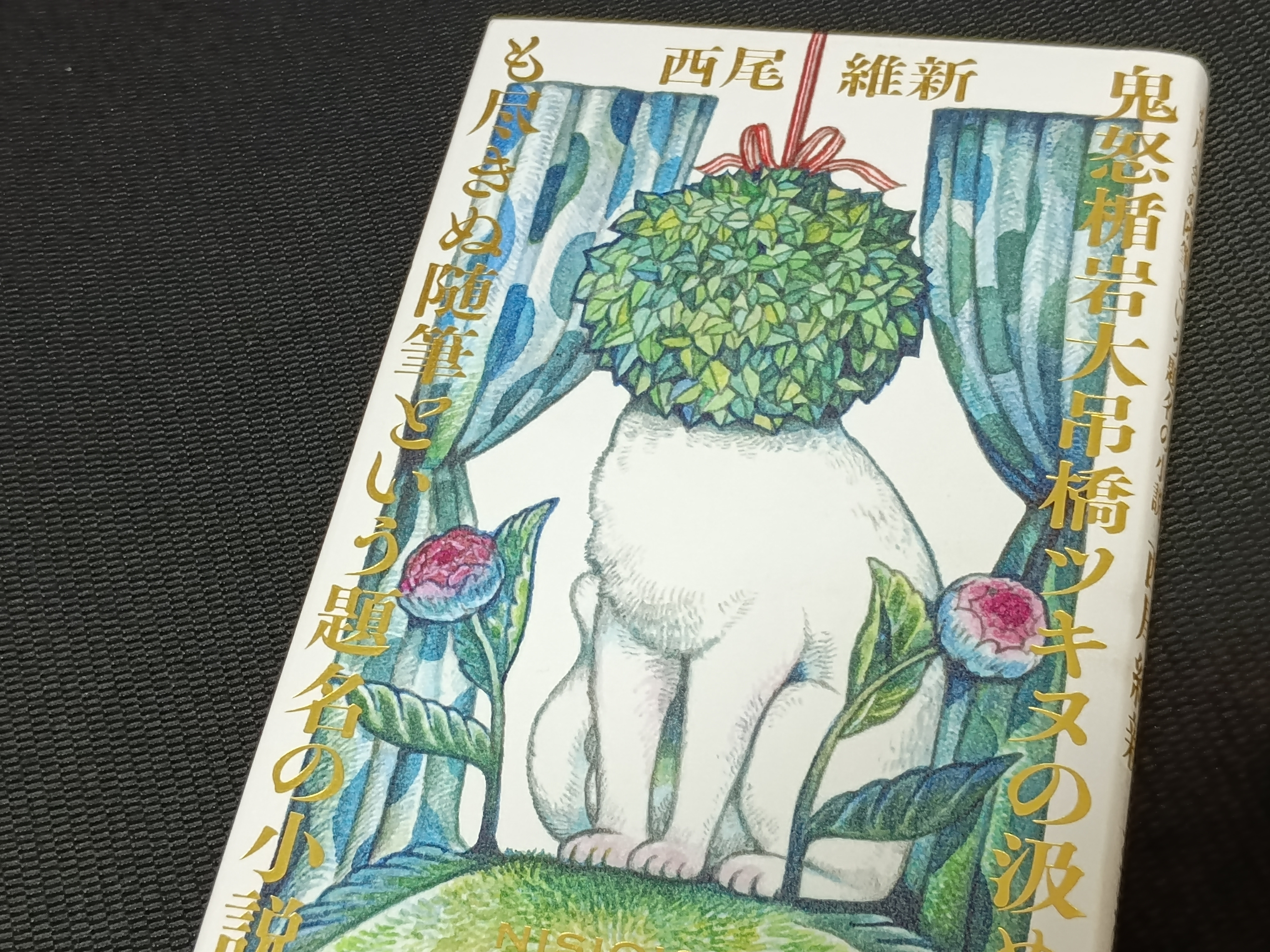 読書】もはや奇書な『鬼怒楯岩大吊橋ツキヌの汲めども尽きぬ随筆という