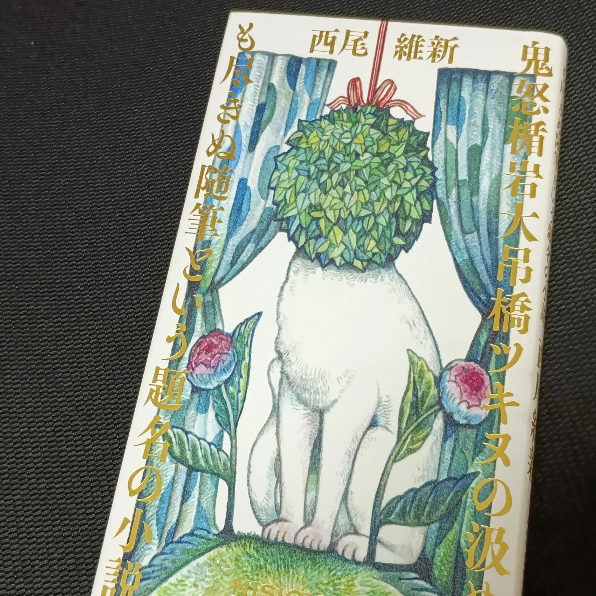 読書】もはや奇書な『鬼怒楯岩大吊橋ツキヌの汲めども尽きぬ随筆という 