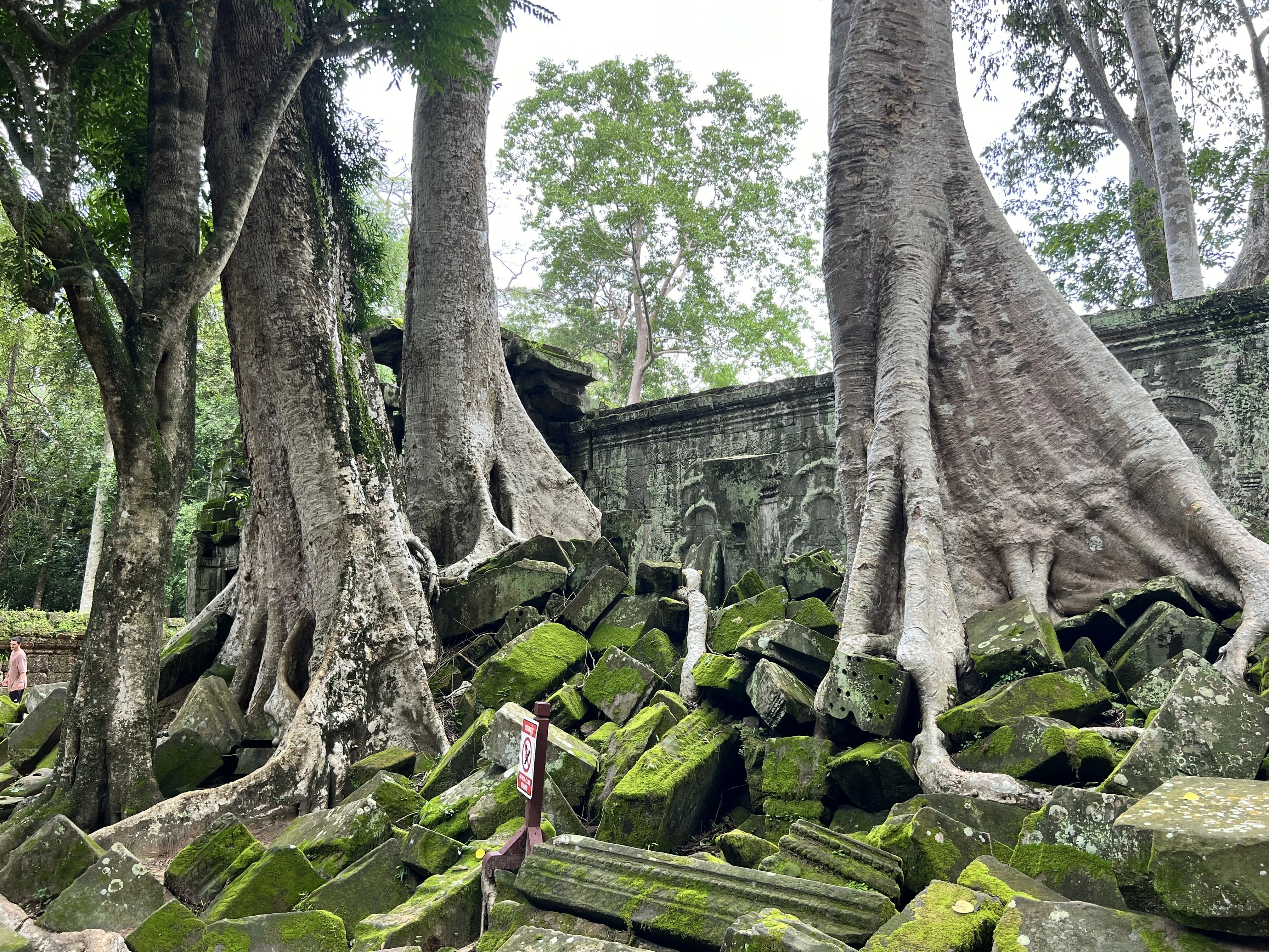 カンボジア🇰🇭シェムリアップ旅②〜アンコール遺跡群巡り〜｜セカイを