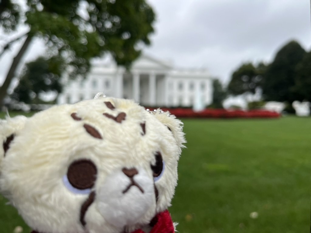 ホワイトハウスを見に行ってきた｜마크마크리