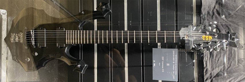 DIR EN GREY 薫 使用ギターまとめ|べにしょうが DIR EN GREY 薫 使用ギターまとめ|べにしょうが