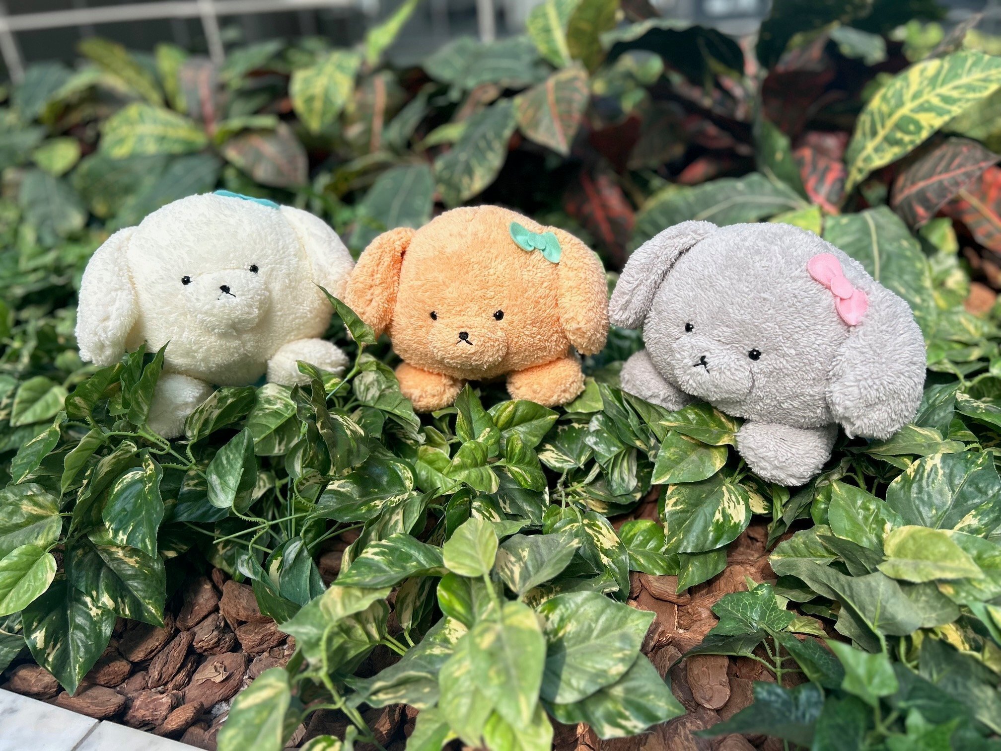 ふわふわでおっとりなトイプードルの「ちんぺ」がプライズ化！作者は