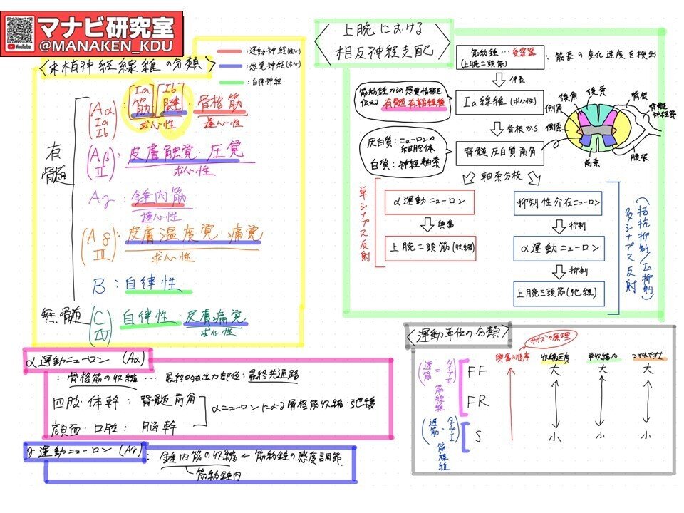 運動機能Ⅰ「講義グラレコ紹介」⑯2024｜マナビ研究室