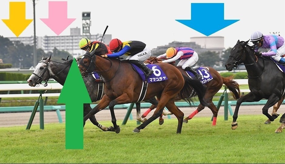 スプリンターズステークス2024 サイン馬券｜ゴッドアイ斎藤（斎藤司 ）の【サイン競馬の世界】