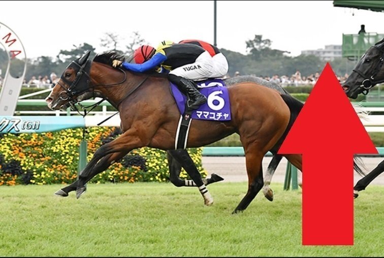 値下げ マイネルラヴ　スプリンターズS的中馬券 値下げ マイネルラヴスプリンターズS的中馬券