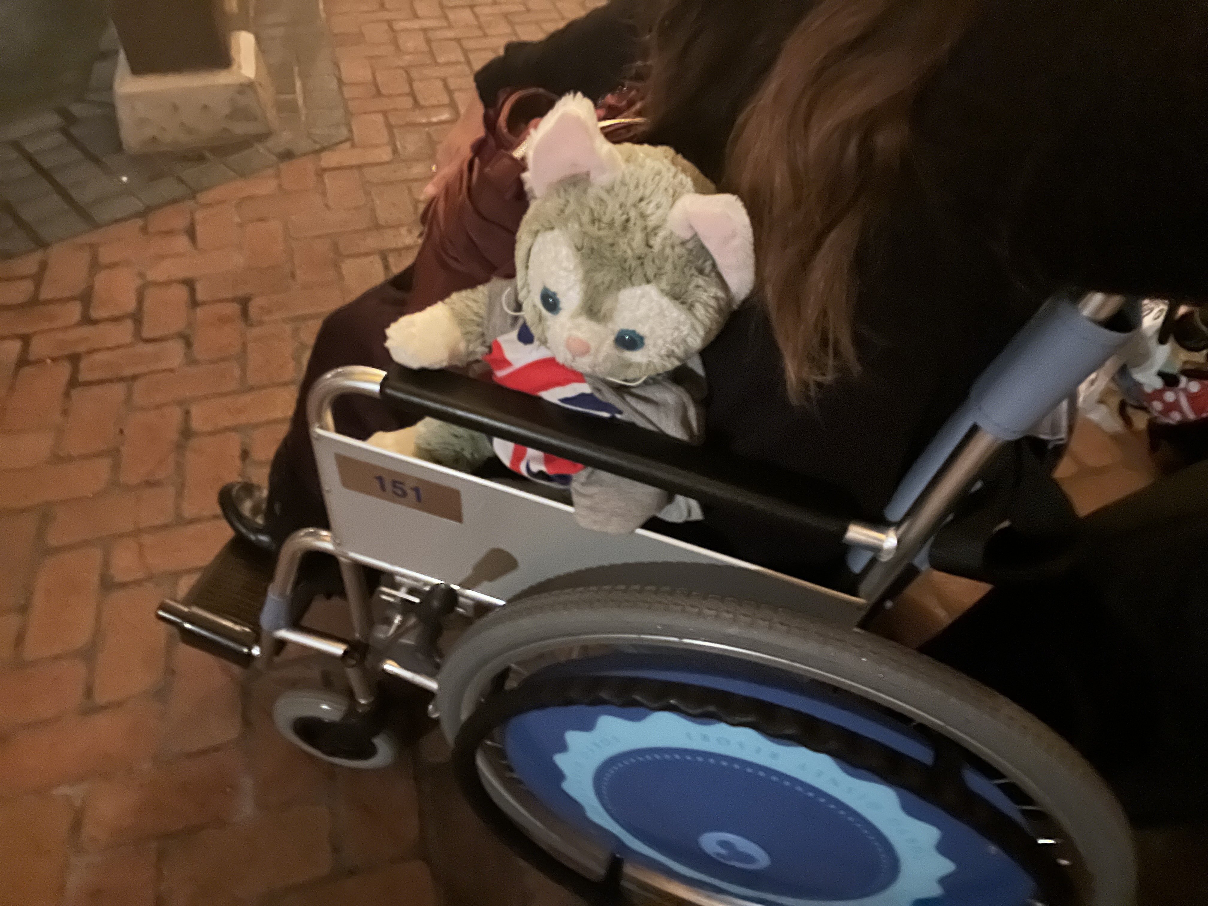 車椅子でディズニー行ってみた｜中嶋千万里/Chimari Nakajima