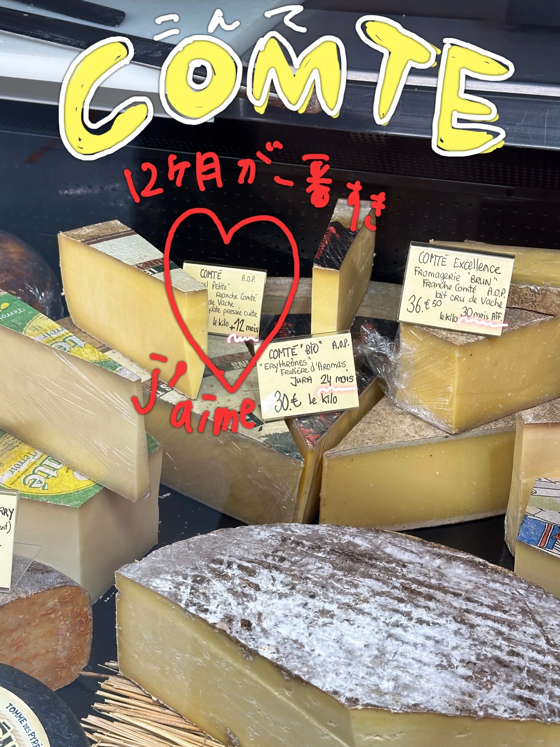 フランスチーズうますぎ問題｜鮭田いくら
