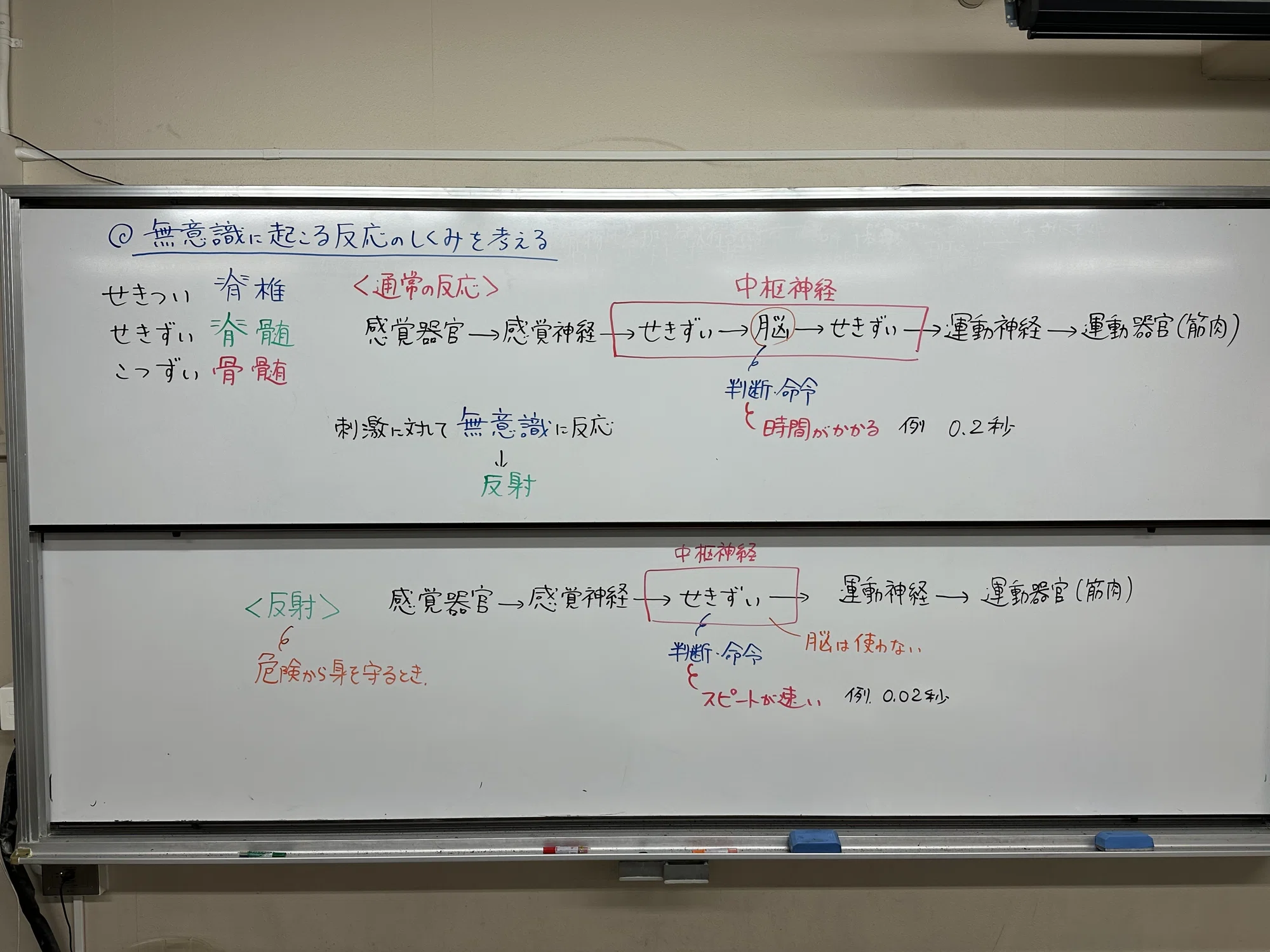 活動歴および当時の関連ビジュアル記録