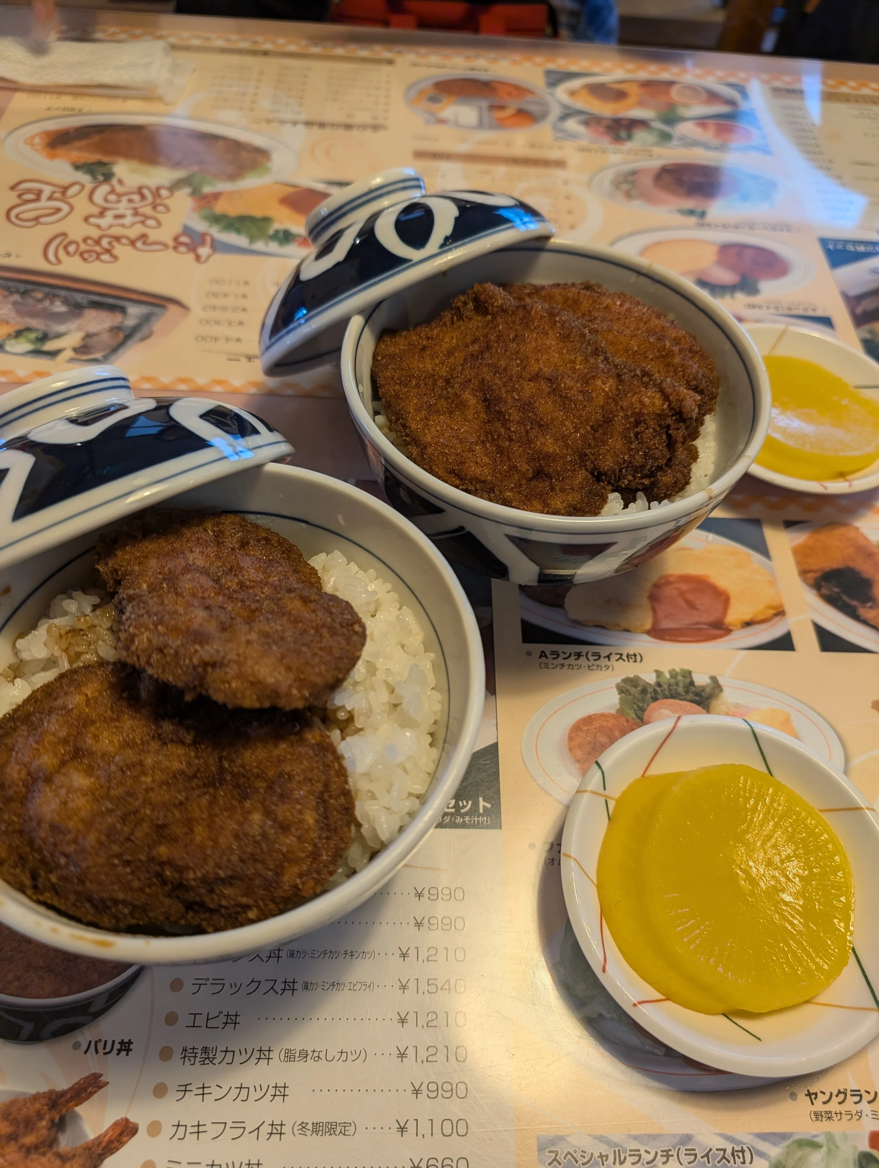 ぶらり敦賀②～ソースカツ丼から赤レンガ倉庫～｜浮雲（うきぐも）