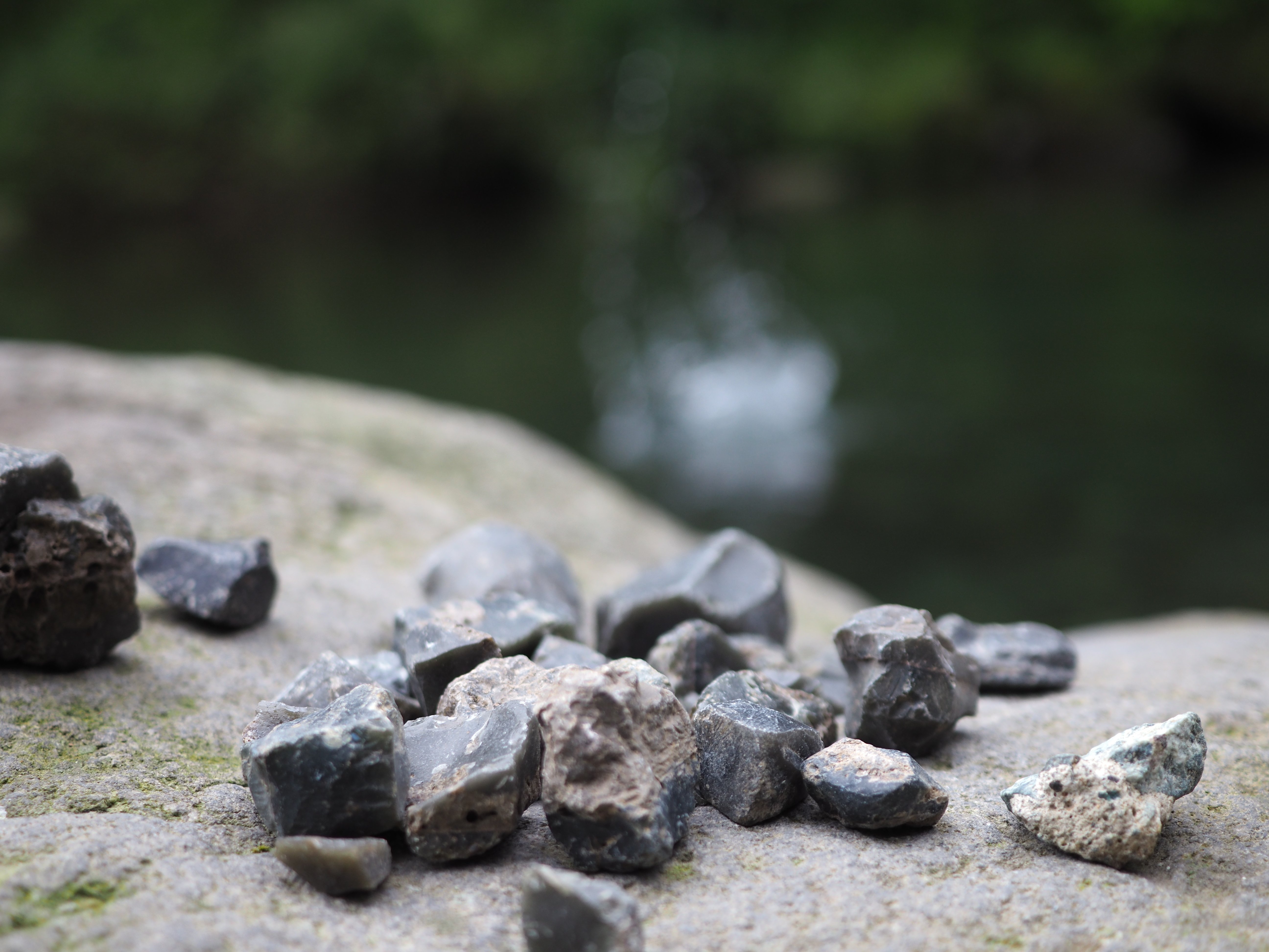 フィールドワーク】箱根・畑宿で黒曜石が本当に見つけられた！｜かわかわ