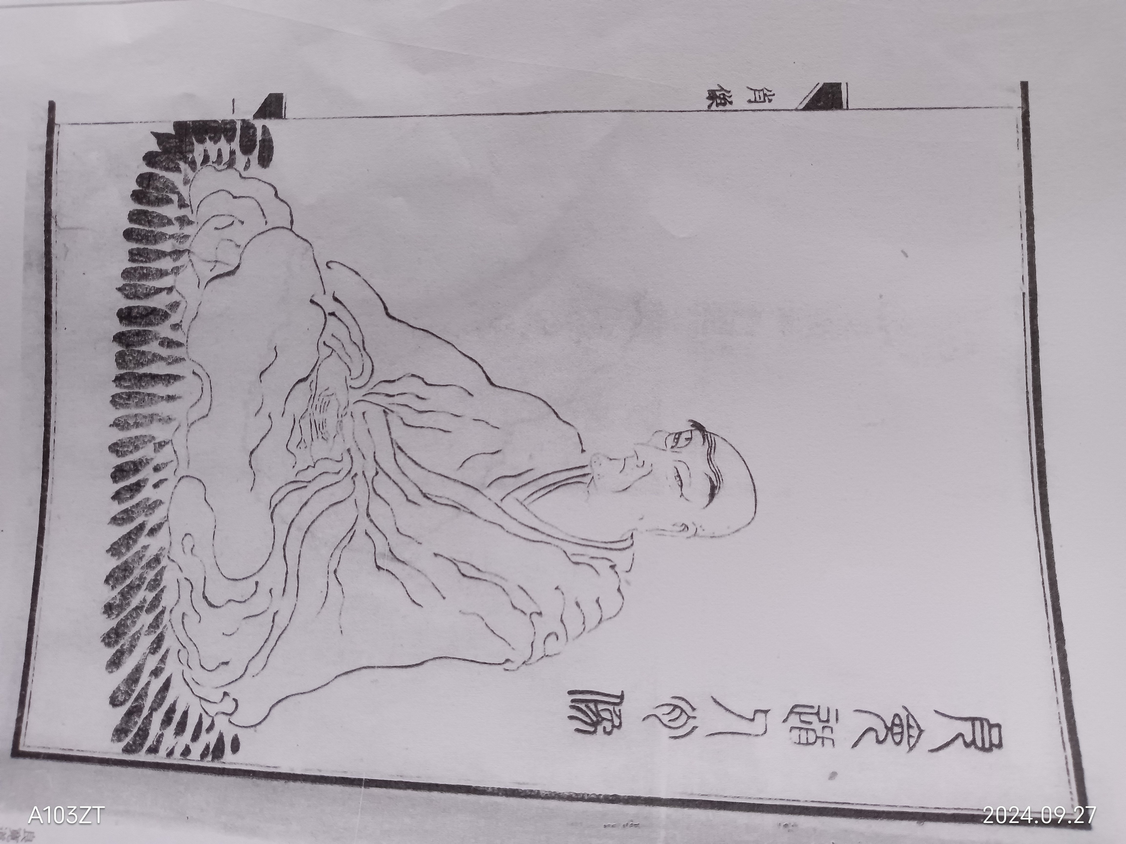 良寛・道元研究ノート｜ひまわりさん@良寛・道元研究