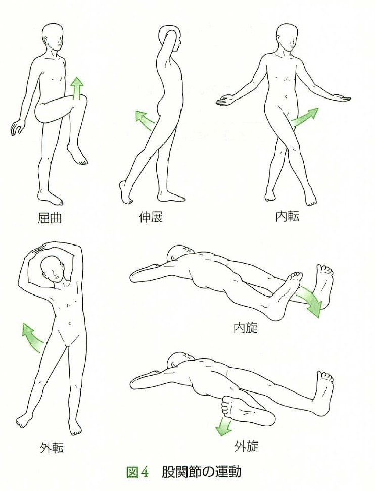 人間の運動学（人間の運動学 - 協同医書出版社）