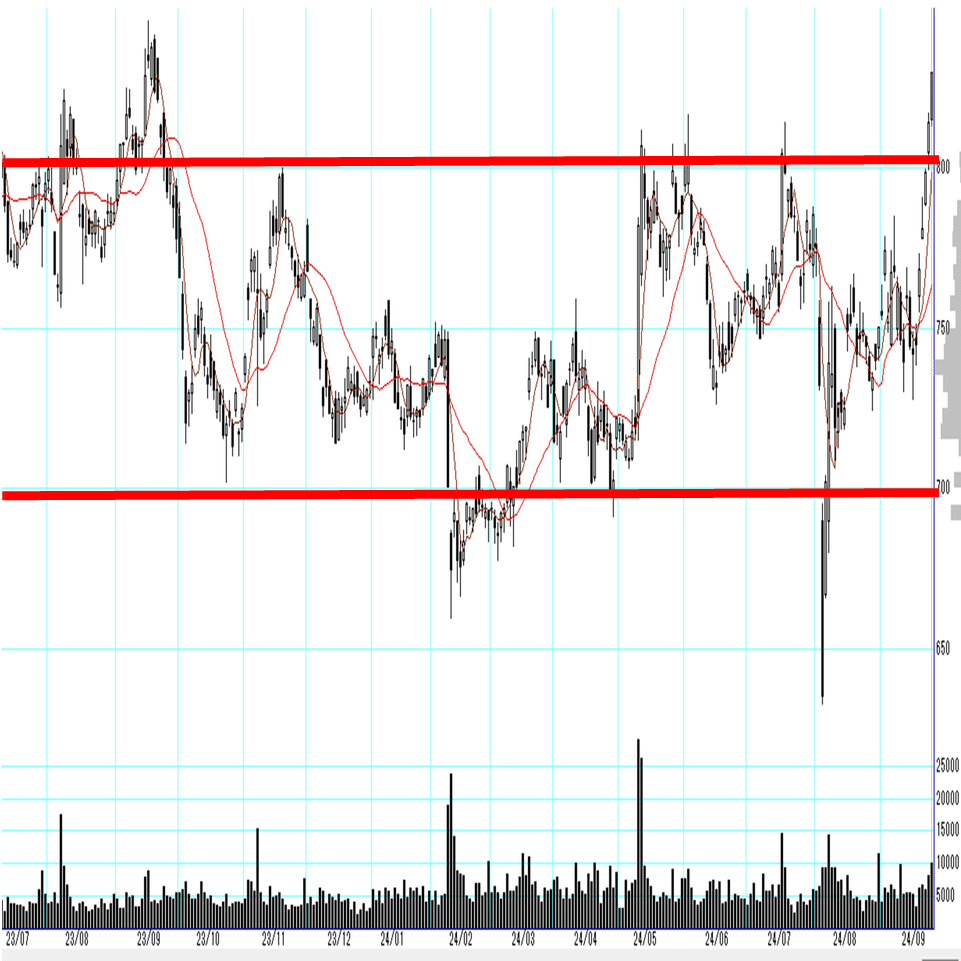 うねり取り実践 - 売買記録 2024-09｜なべなべ