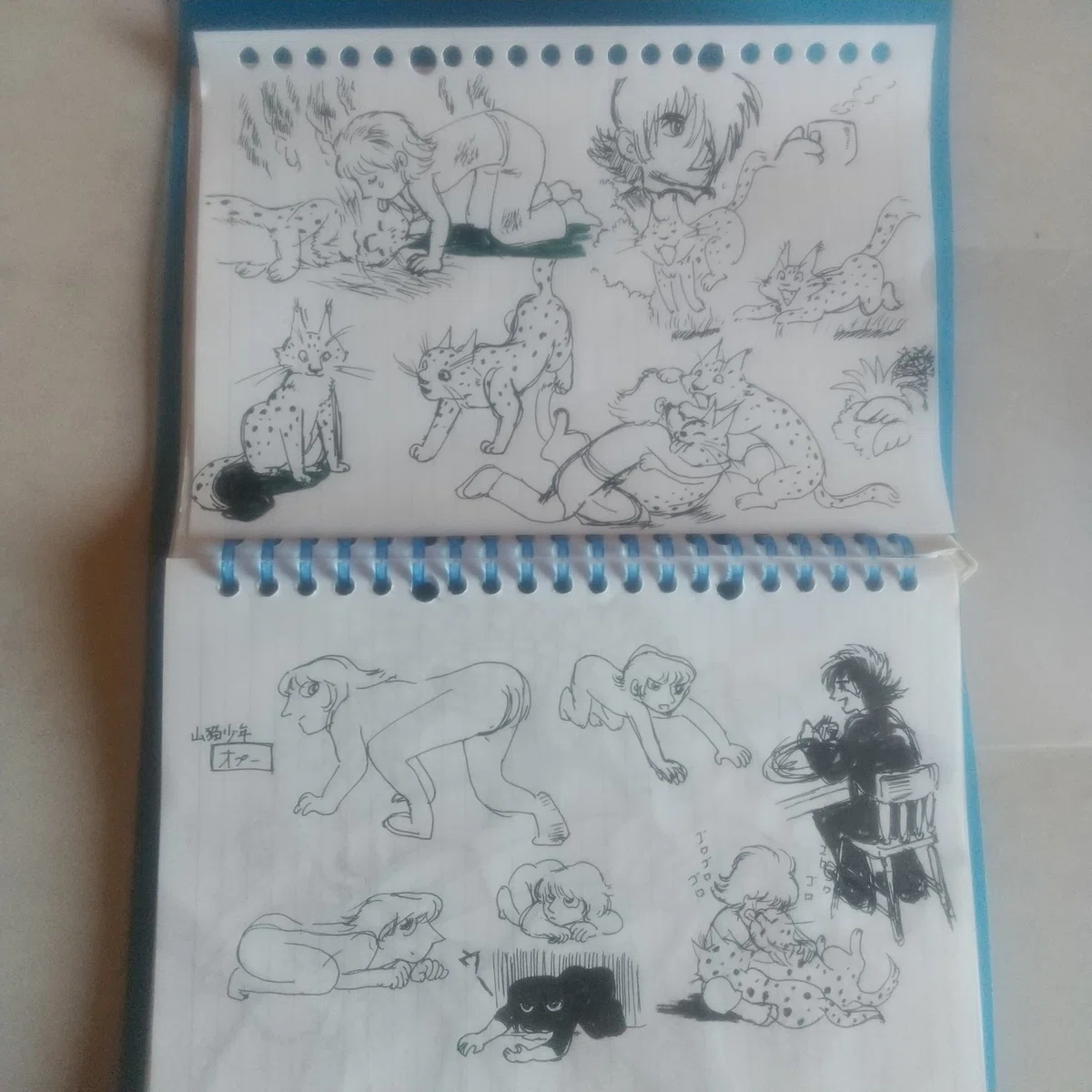 画像