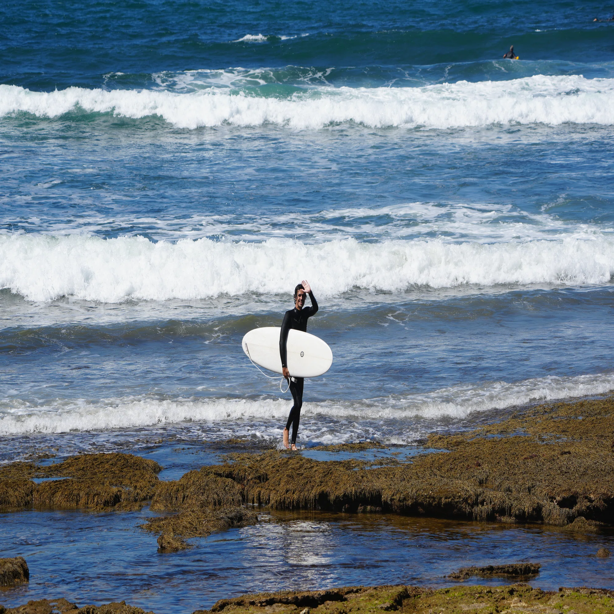 Shyama Buttonshaw Designs in stock｜RIDE SURF+SPORT