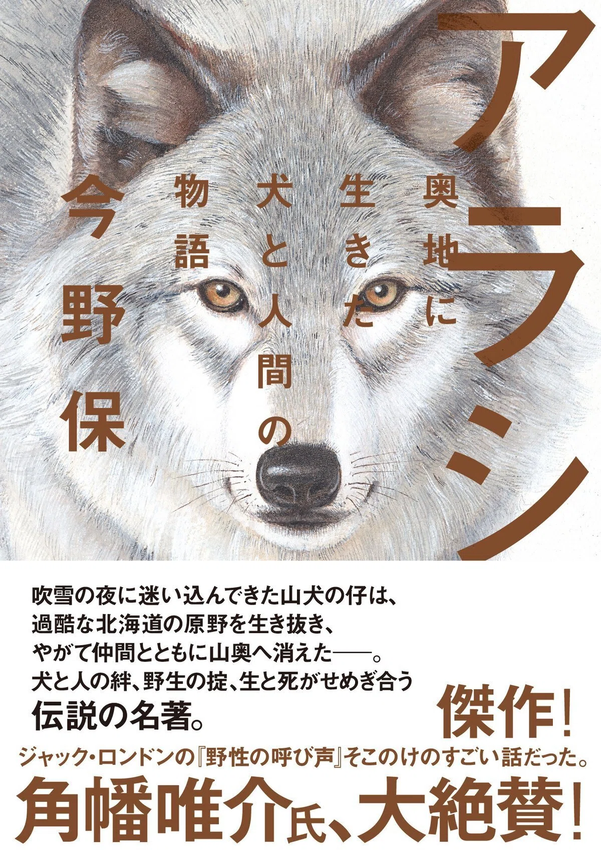 犬好き必読】少年と犬、運命の出会い――それは嵐吹きすさぶ夜のことだっ