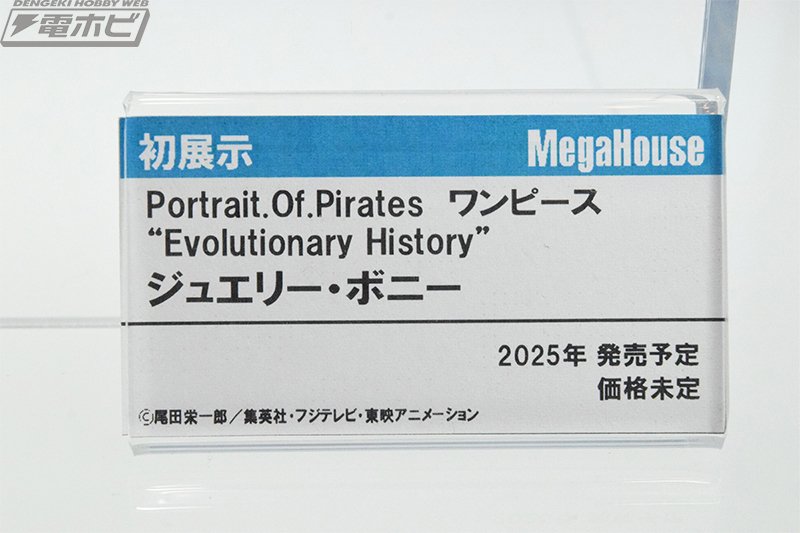 ワンピース　ポートフォリオ ルフィ海賊団　ナミ　ポートレート Portrait.Of.Pirates ワンピース “Evolutionary History” ナミ