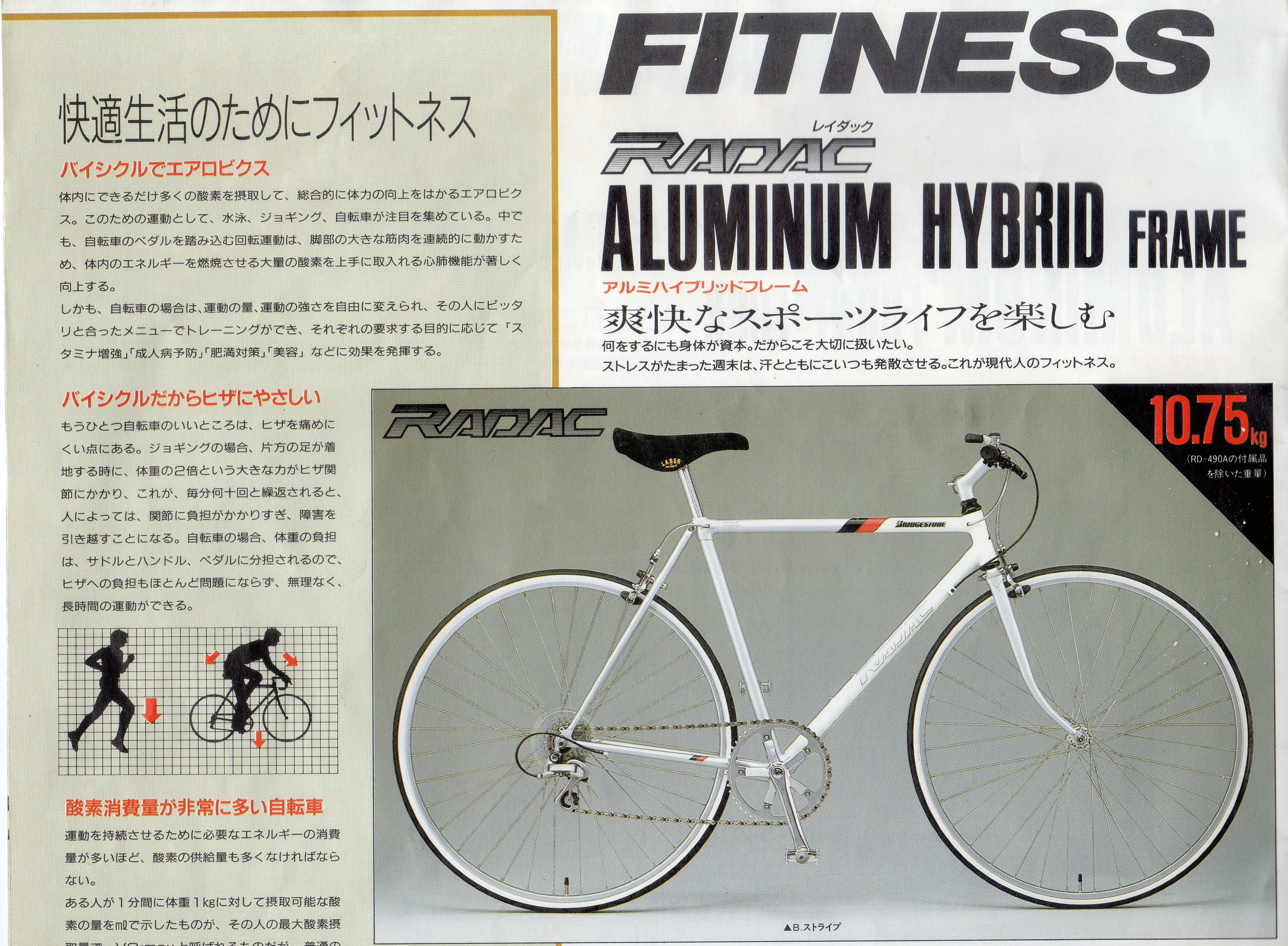 BRIDGESTONE ブリヂストンレイダックRD-530