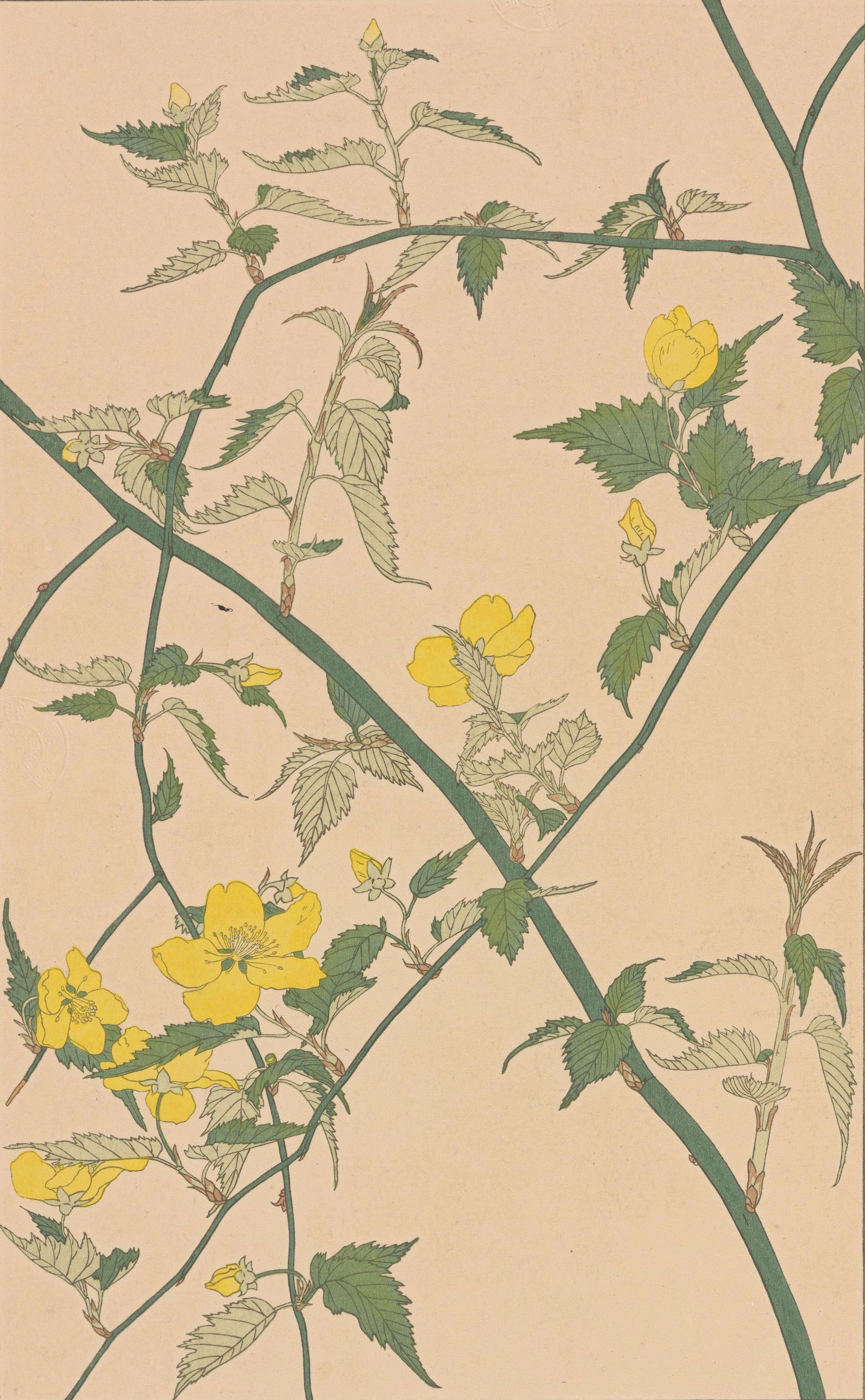 非水百花譜 第4輯｜日本花卉文化株式会社
