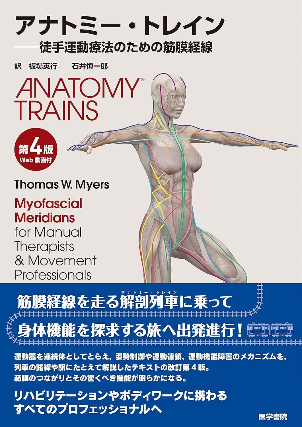 Anatomy Trains （アナトミートレイン）女性の骨盤と人生のサイクル