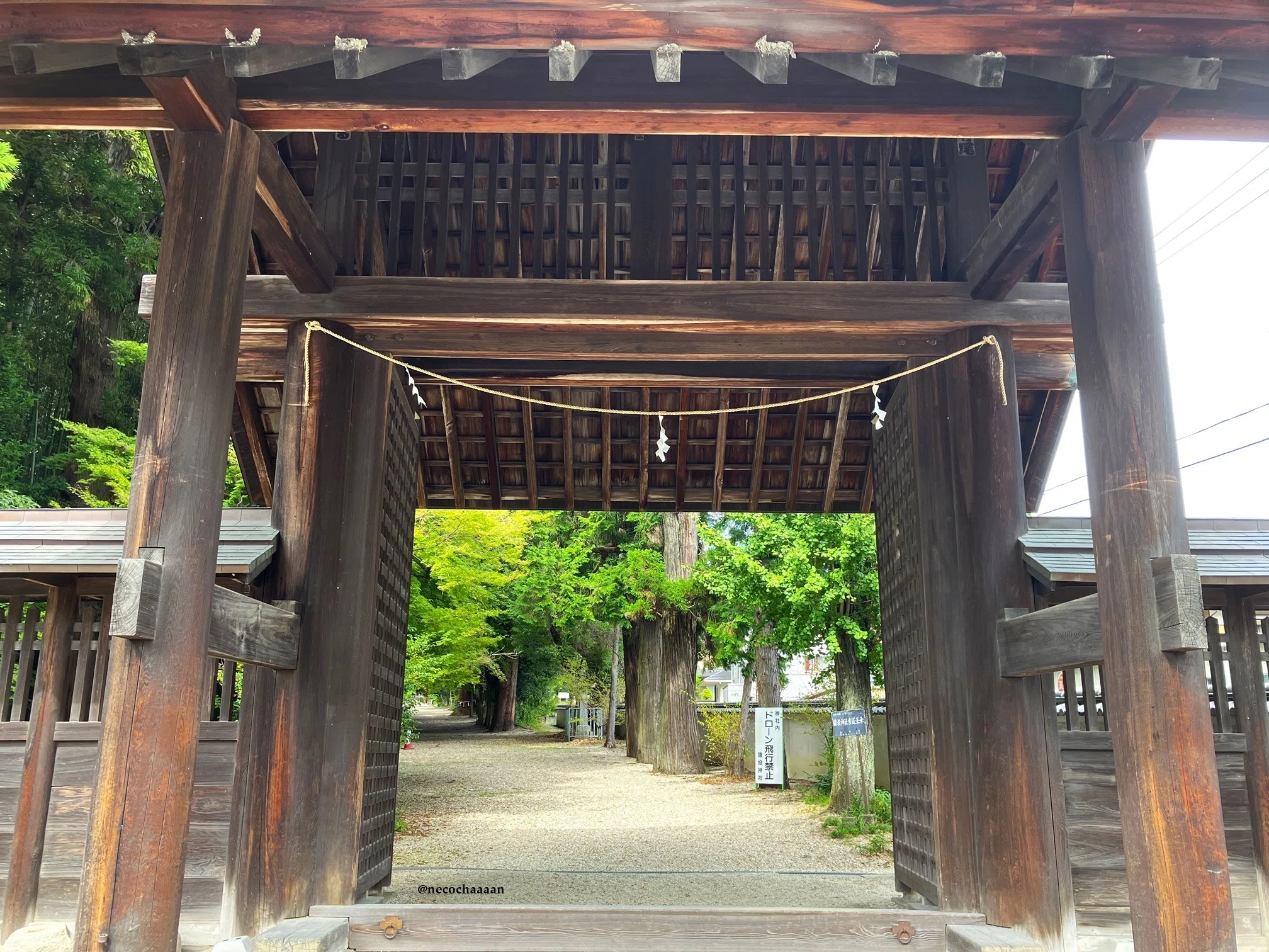 神社/先祖の足跡巡り】猿投神社（愛知県豊田市）｜ネコチャーン