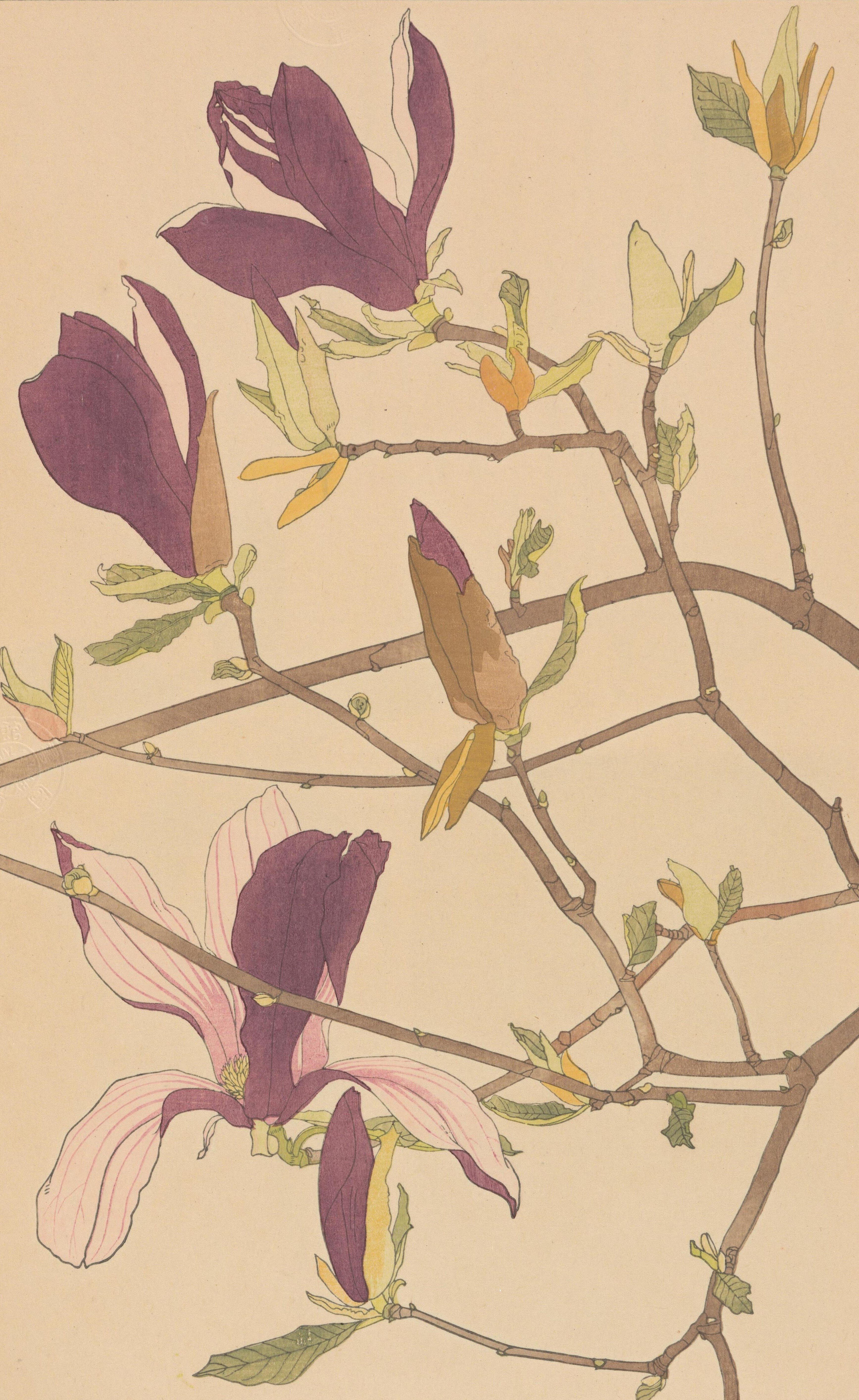 百花繚乱　クラブコスメチックス百年史 100年史　*社史 2003年 柚木沙弥郎の100年 創造の軌跡 – 青幻舎オンラインショップ