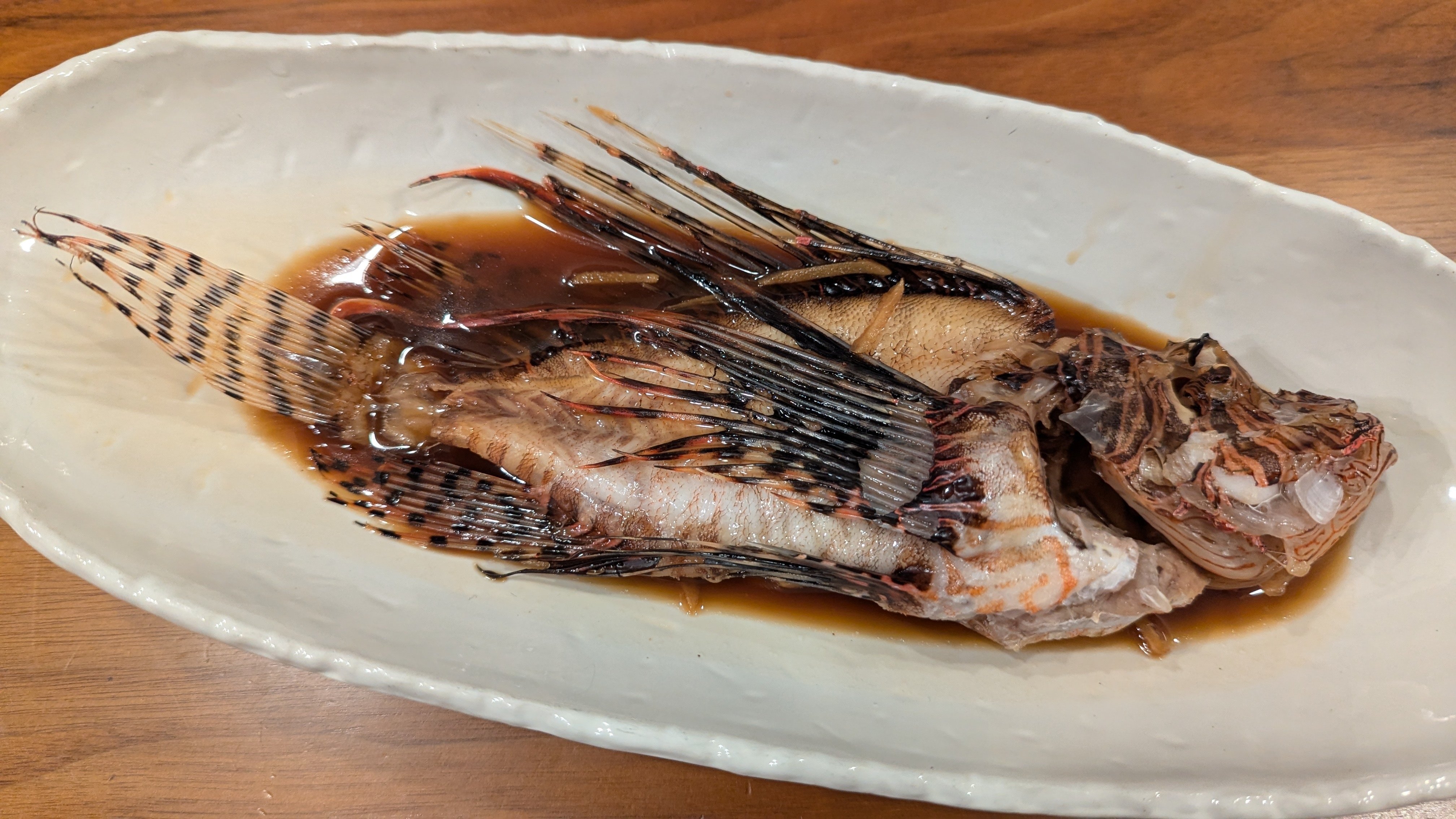 2024年9月30日（月）「未利用魚・ミノカサゴ」｜おおたま