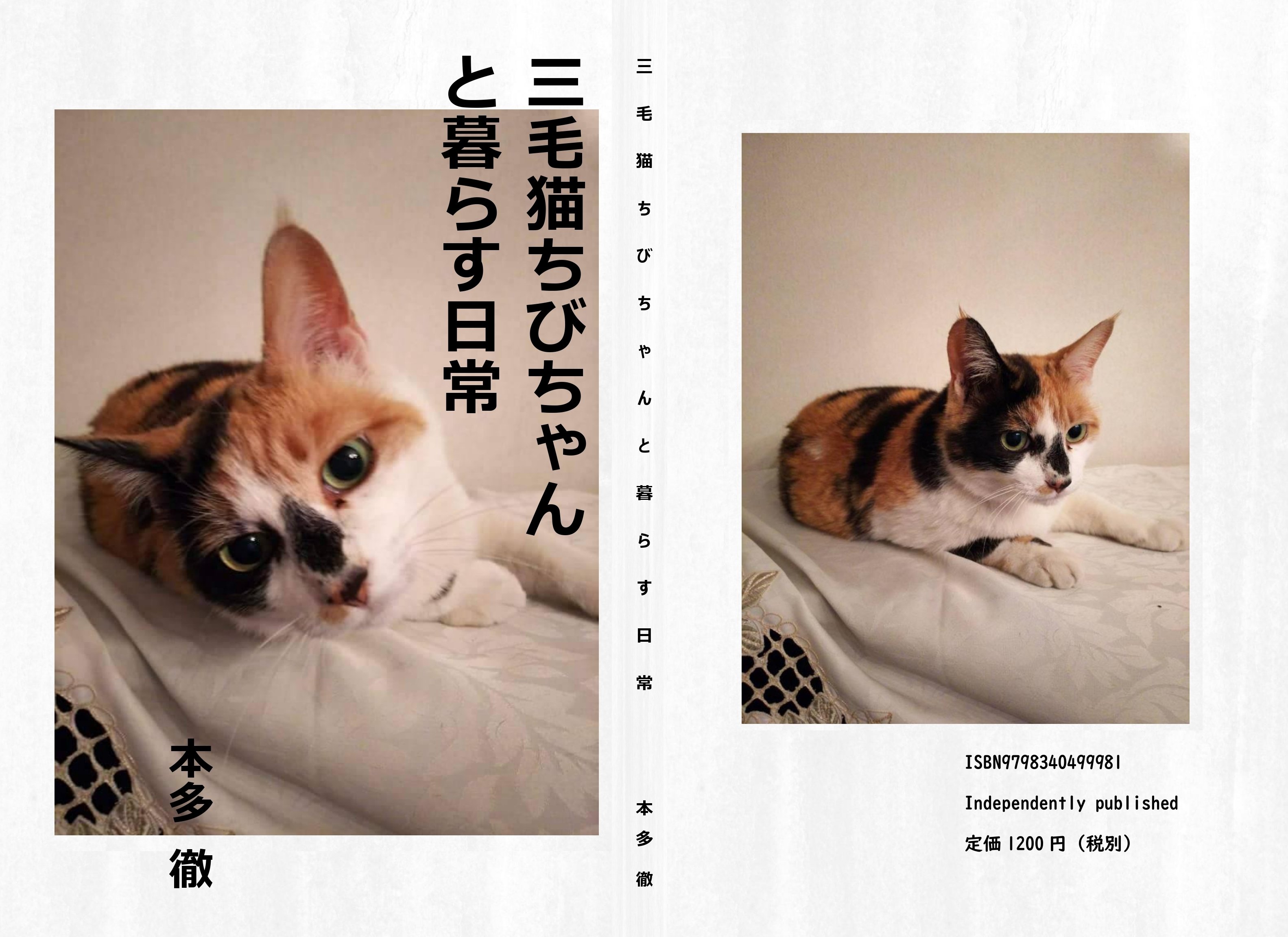 最新刊「三毛猫ちびちゃん」🐾 初のオールカラー写真集 本多本23冊目