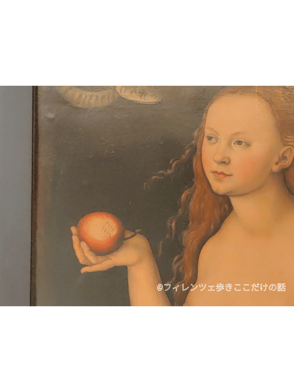 ドイツの伝統絵画 51BJ+E1s-IL._UF350,350_QL50_.jpg