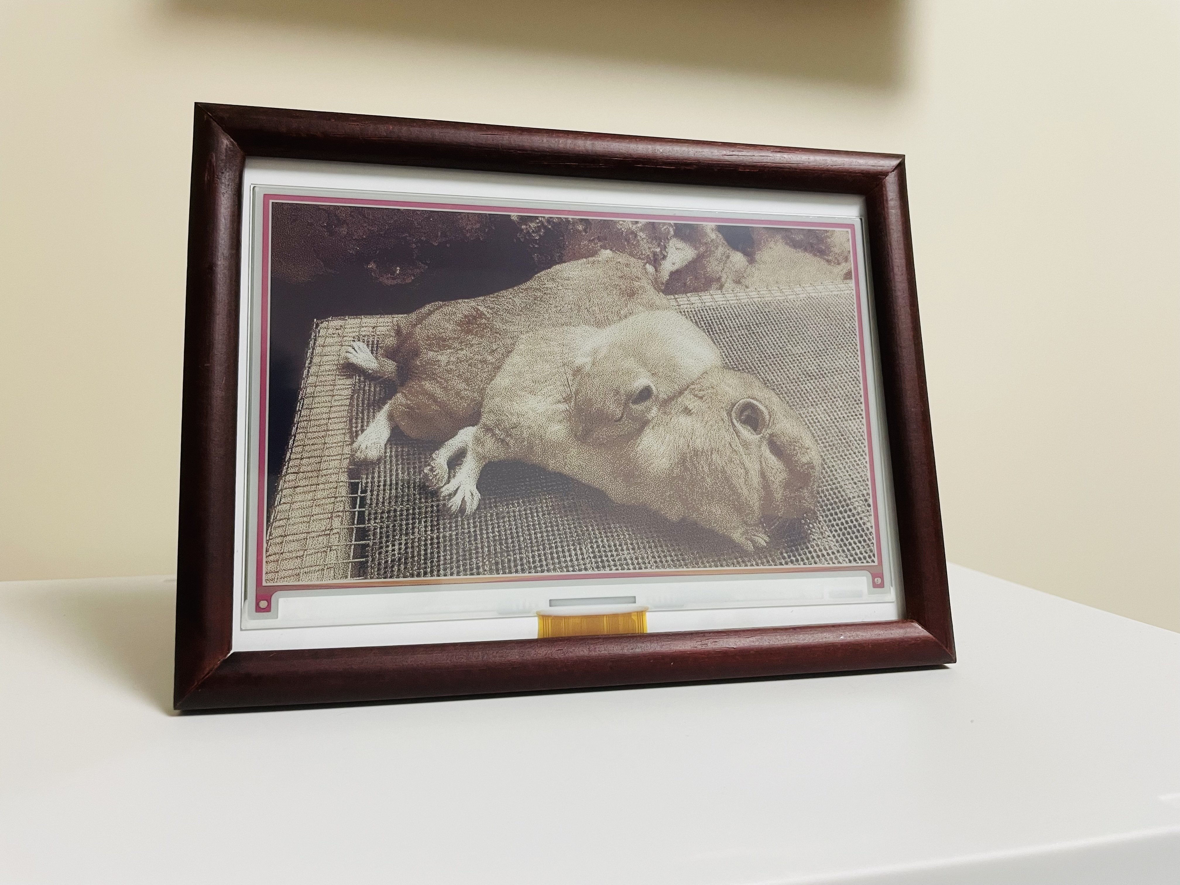 7.3インチ電子ペーパーデジタルフォトフレーム Amazon.com : Waveshare 7.3inch ACeP 7-Color E-Paper with Solid