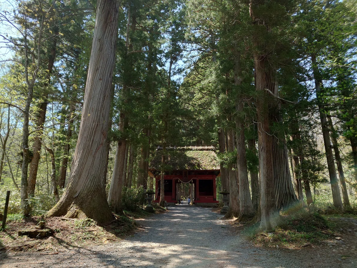 戸隠神社奥社参拝と不思議写真·*｜雨のち晴れ·*